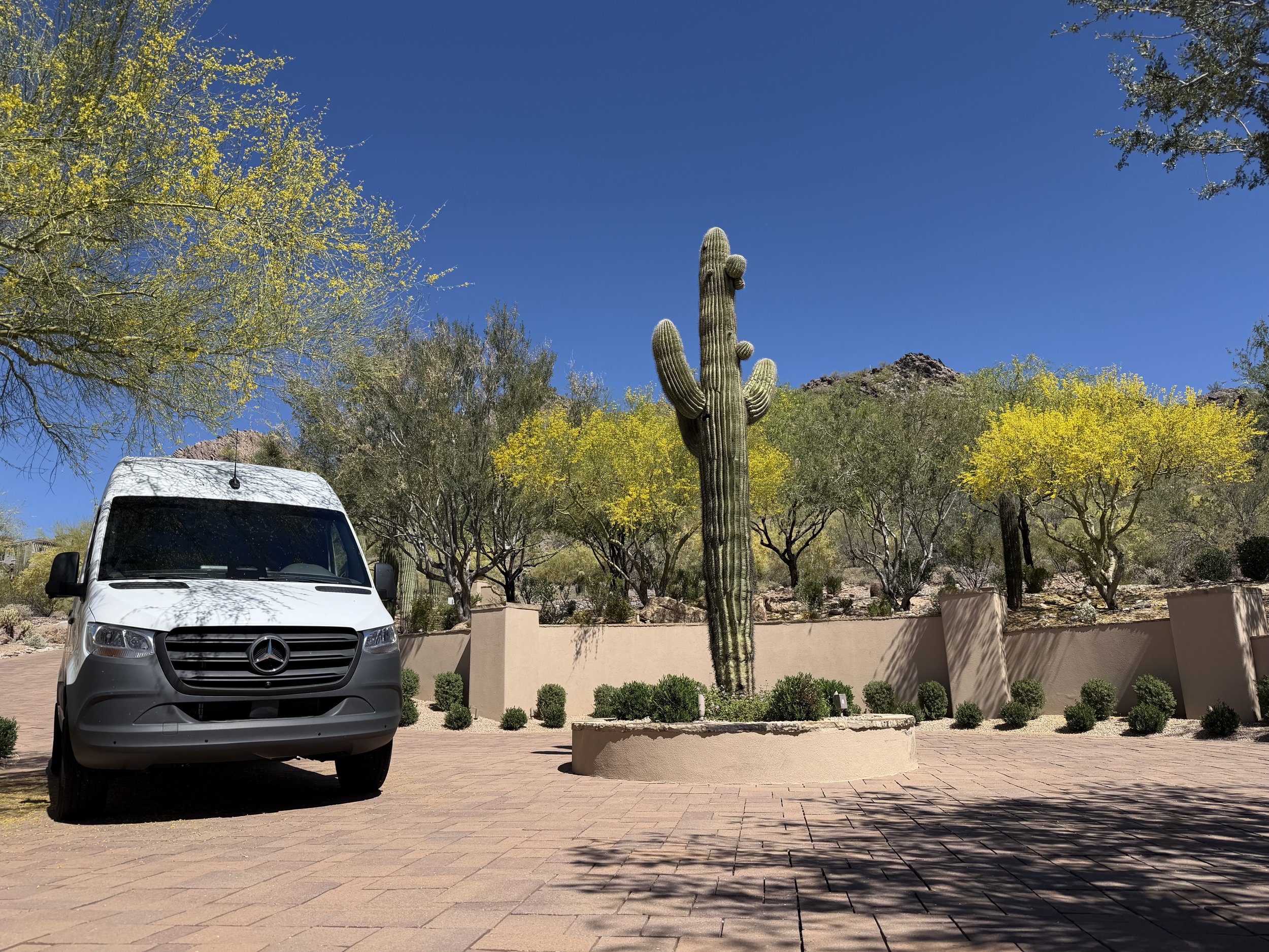 A white Mercedes-Benz van parked on a paved driveway in a desert landscape with a tall cactus, yellow flowering trees, and mountains under a clear blue sky.