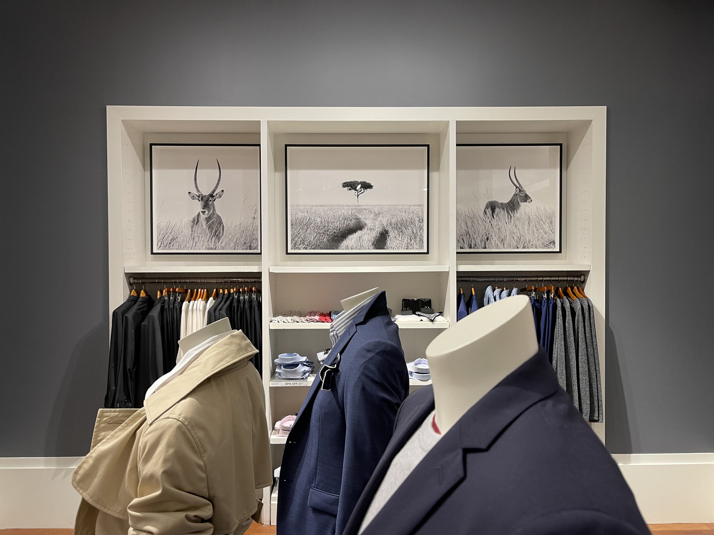 Display of mannequins dressed in jackets and shirts in a clothing store, with framed black and white pictures of antelopes and a tree on the wall behind them showcase picture hanging for retail clients.