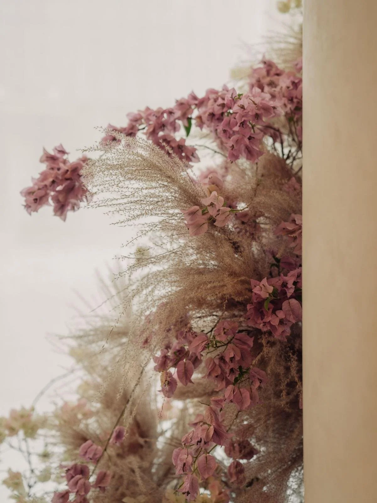 Shu Anne &amp; Johnson