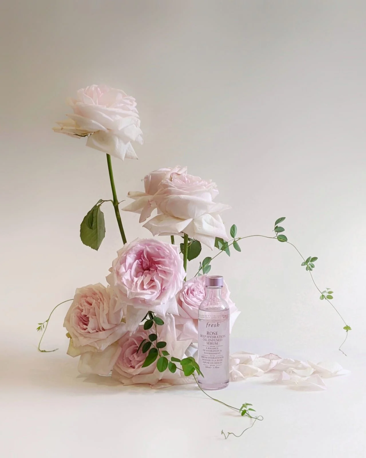 Fresh x Still Life Floral