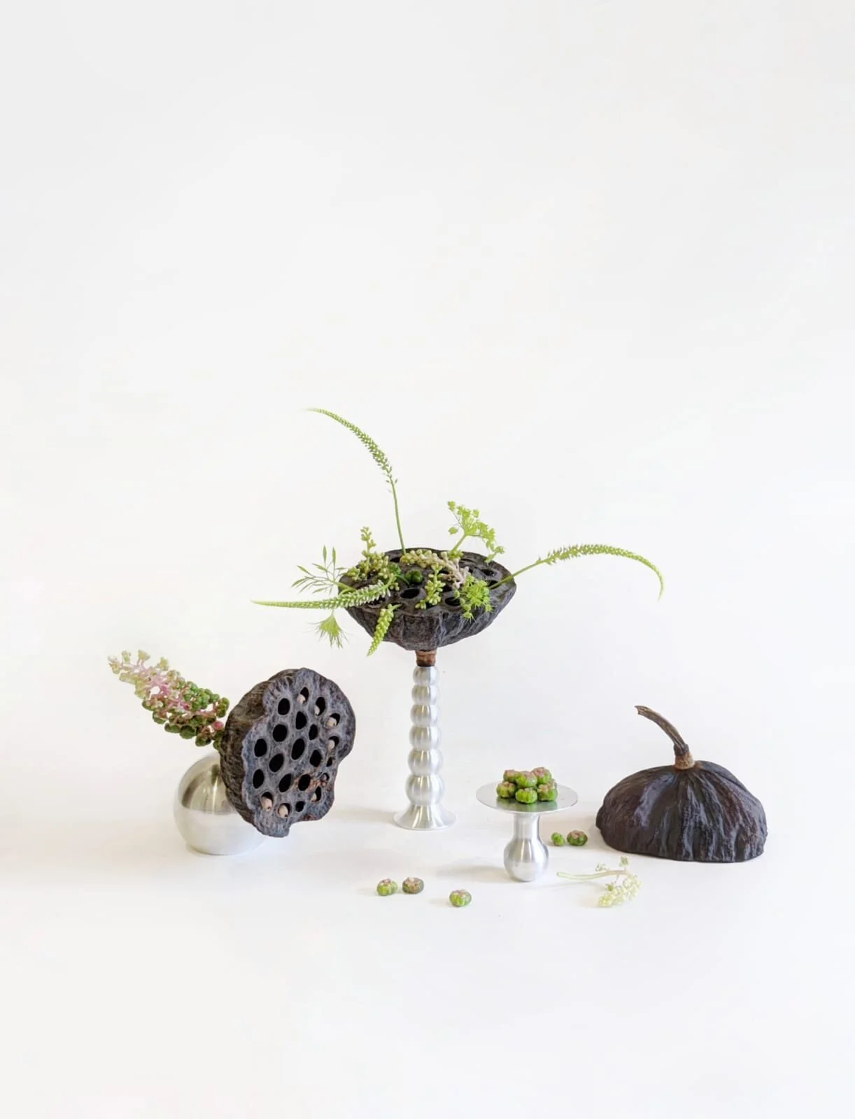 Still Life