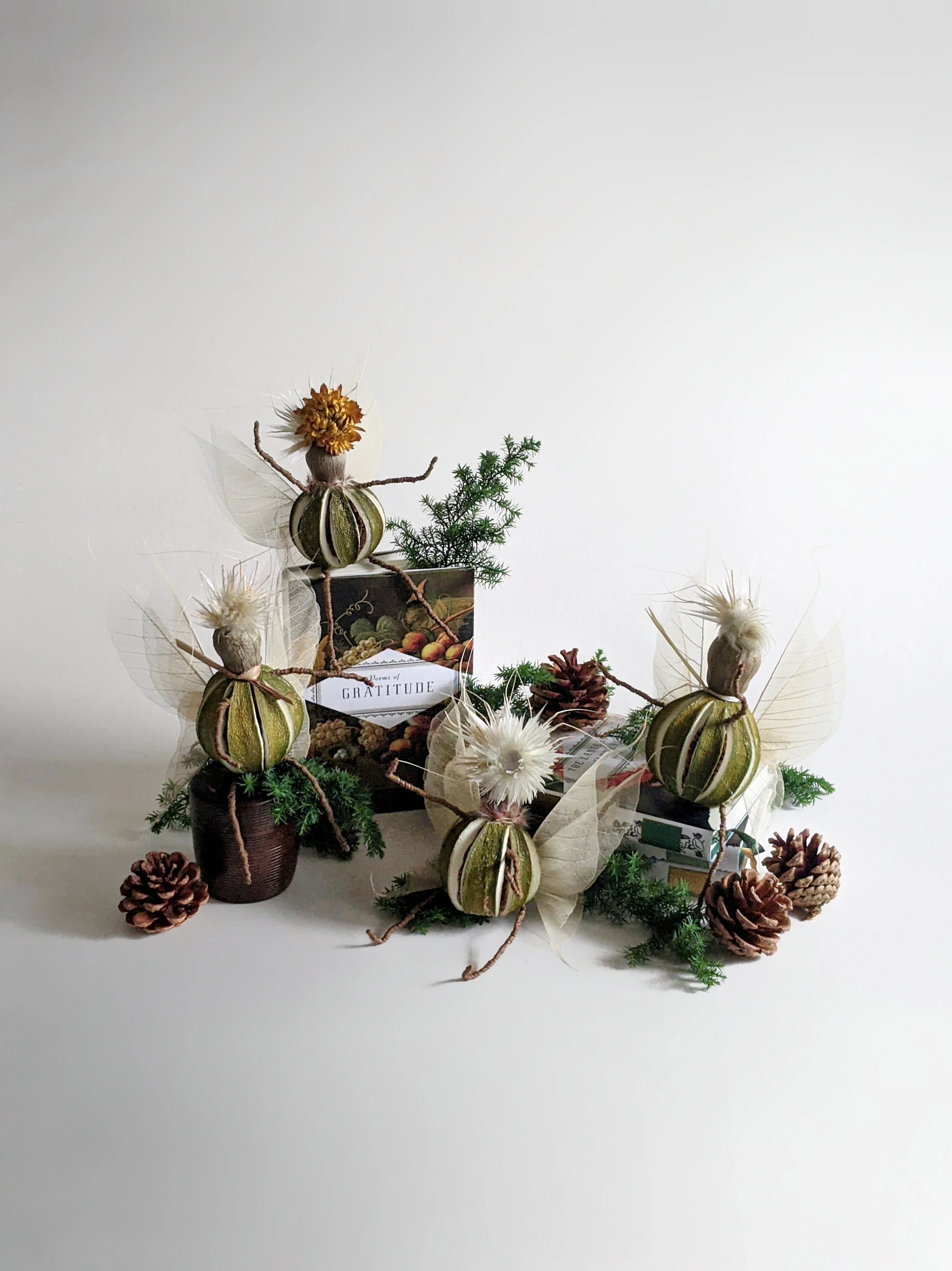 Botanical Pixies Christmas 20'