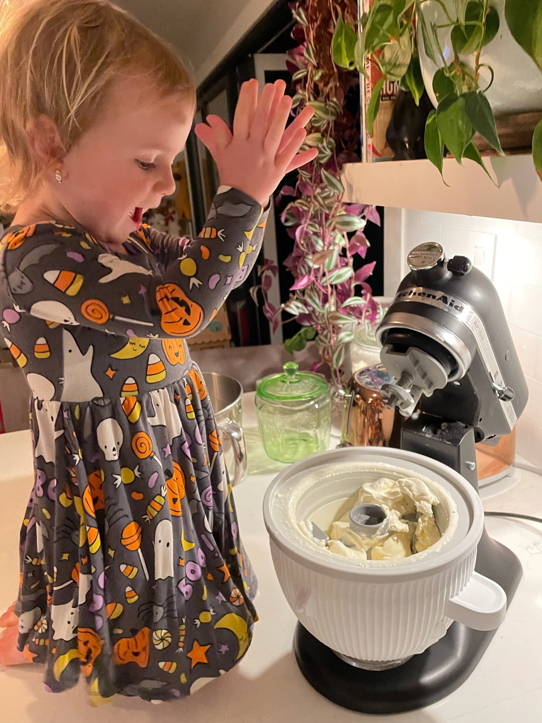 Homemade Vanilla Ice Cream