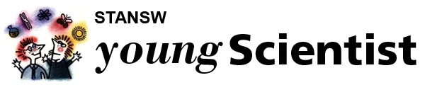 ysbanner.jpg