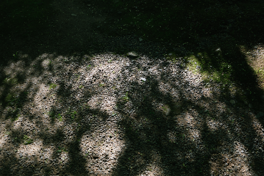 DSCF1010.jpg