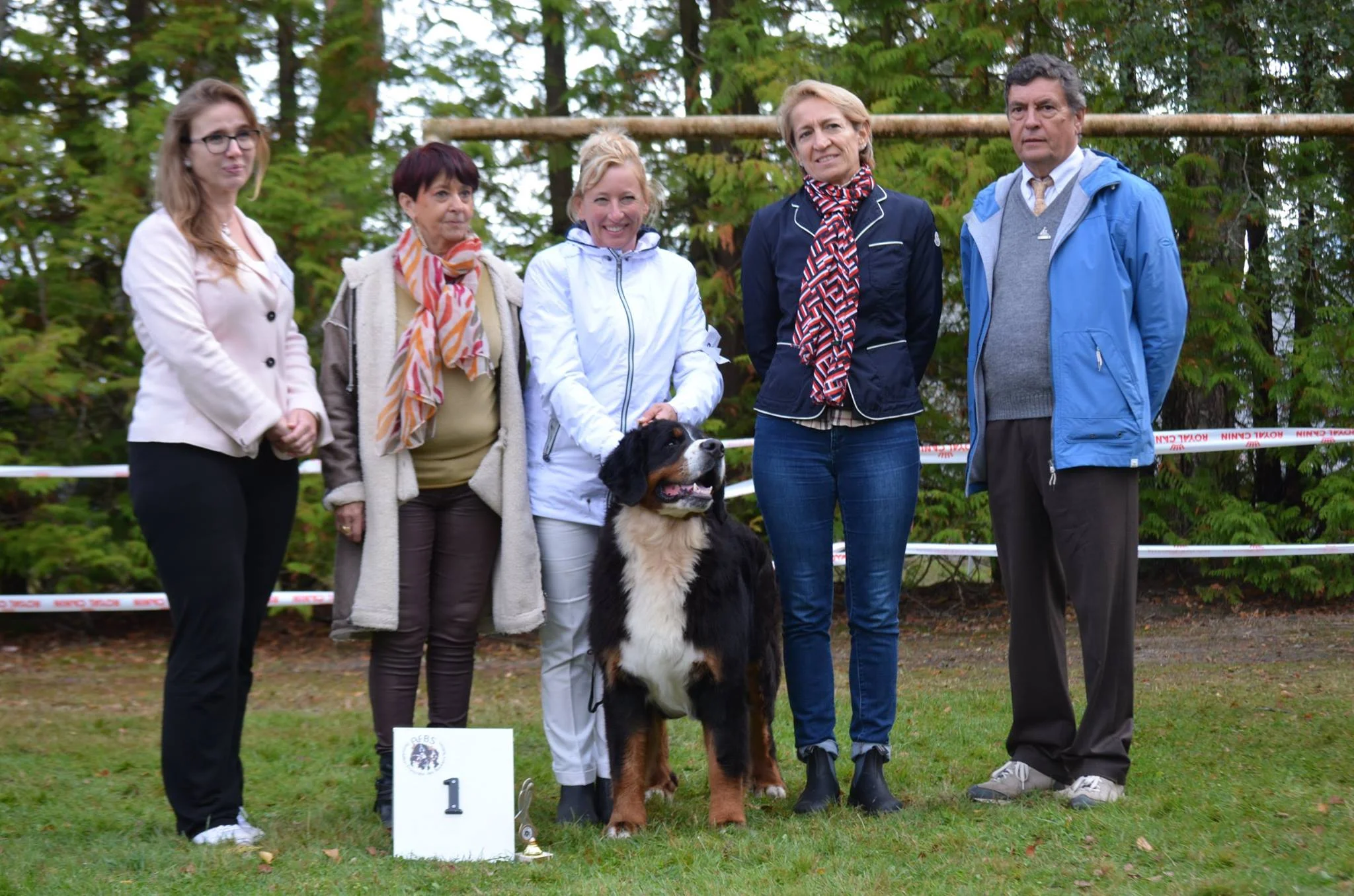 ASLAK (Esprada Aslak to Starry Town) 1st in junior class, Best junior, J. BEST IN SHOW.jpg