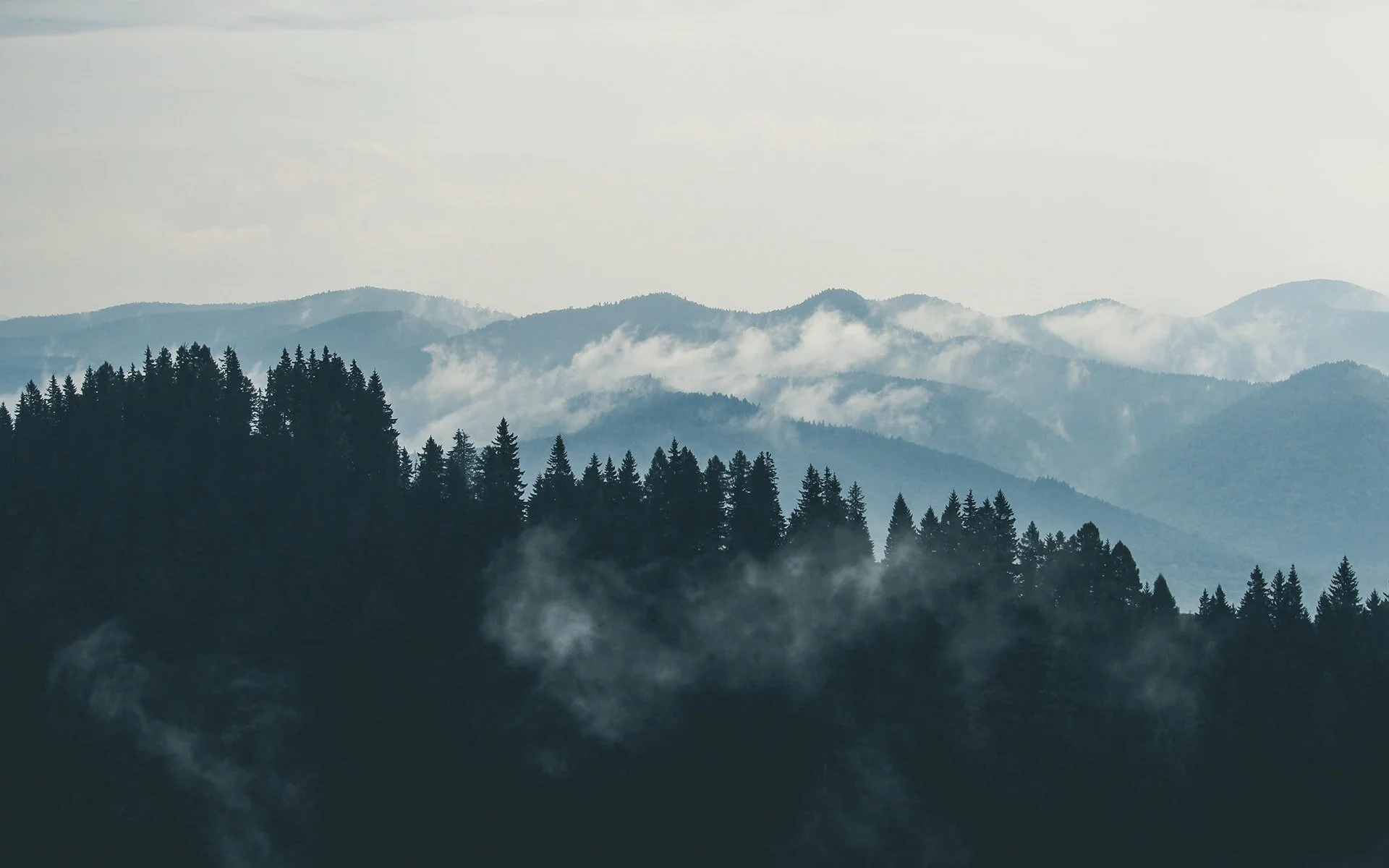 forest-mountains-fog-clouds-9754.jpg