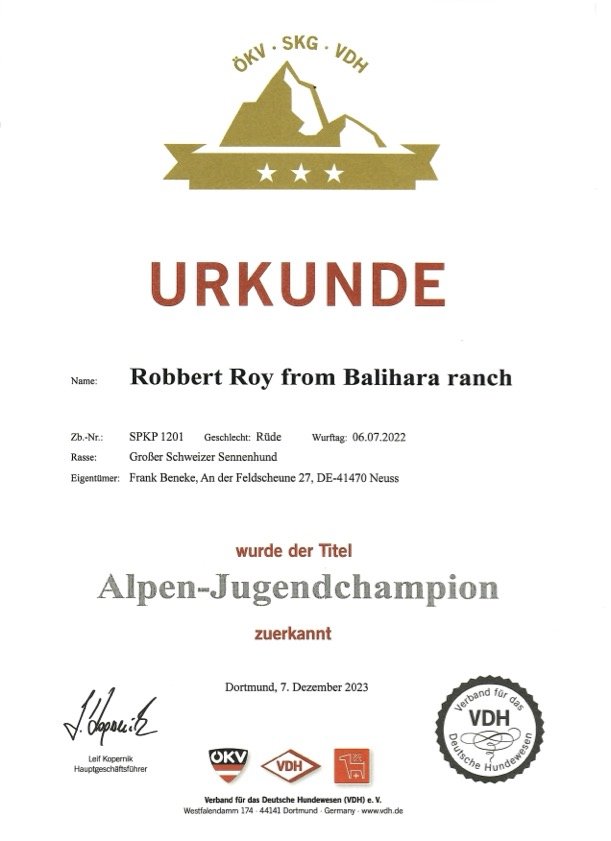 Robbert Roy from Balihara Ranch - Alpen-Jugendchampion.jpg