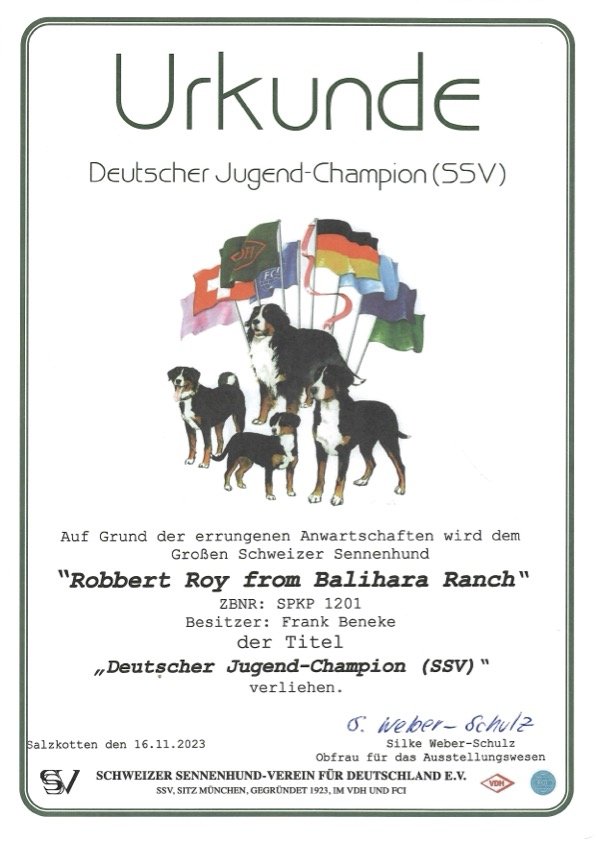 Robbert Roy from Balihara Ranch - DtJCh SSV.jpg