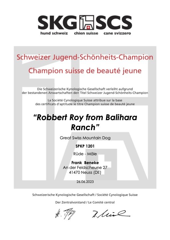 Robbert Roy from Balihara Ranch - JCh Switzerland.jpg