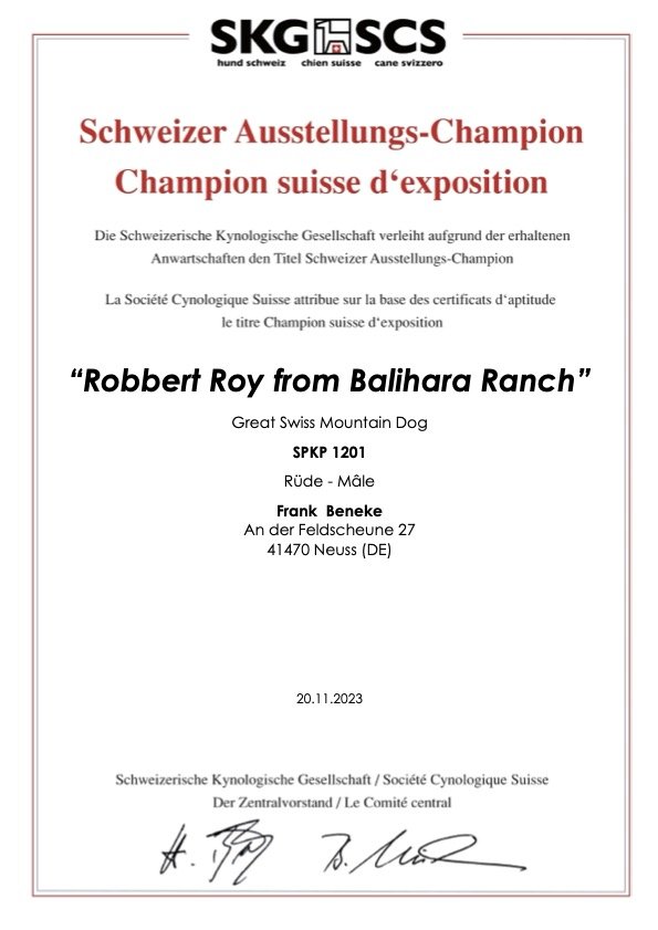 Robbert Roy from Balihara Ranch - Swiss Show Champion.jpg