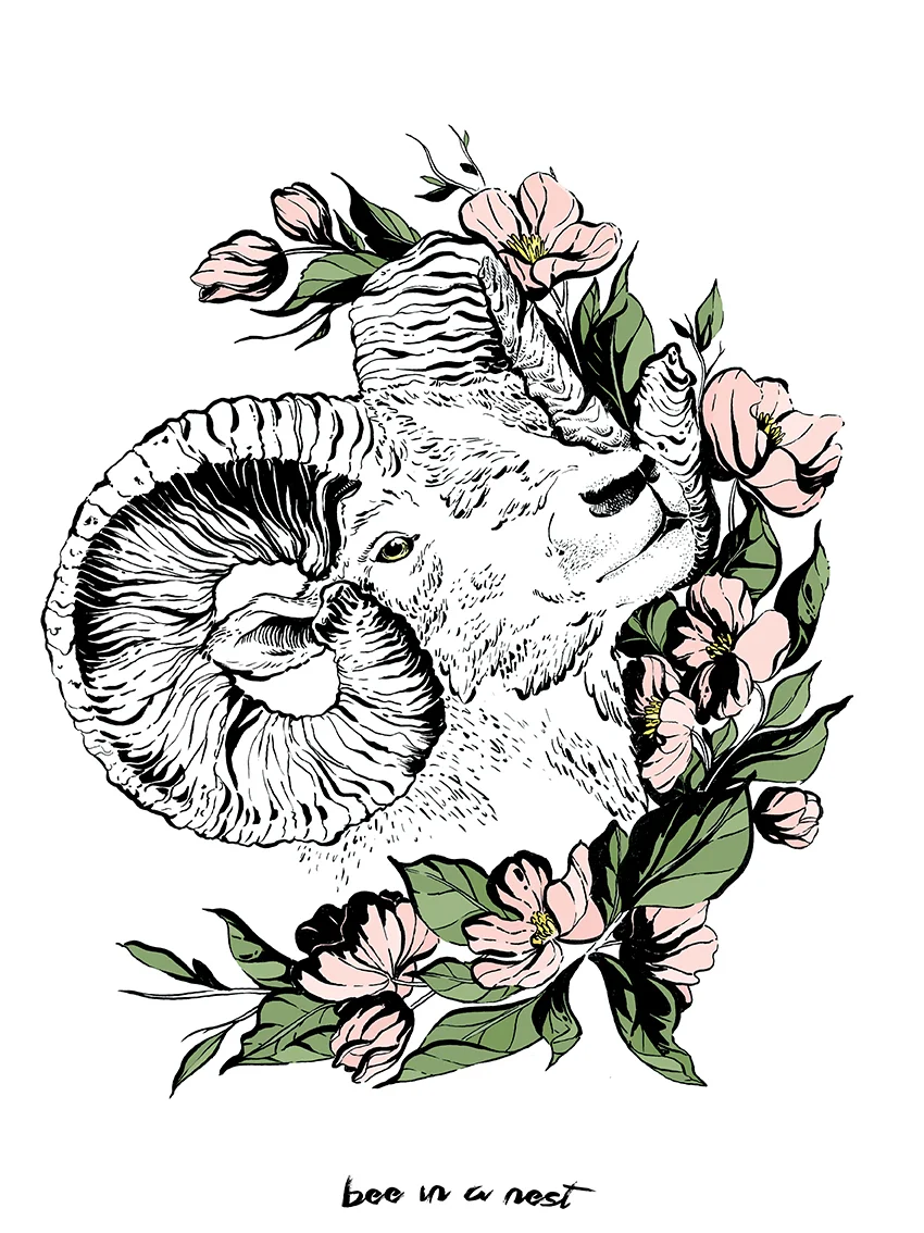 calm_michela-tannoia_1.png
