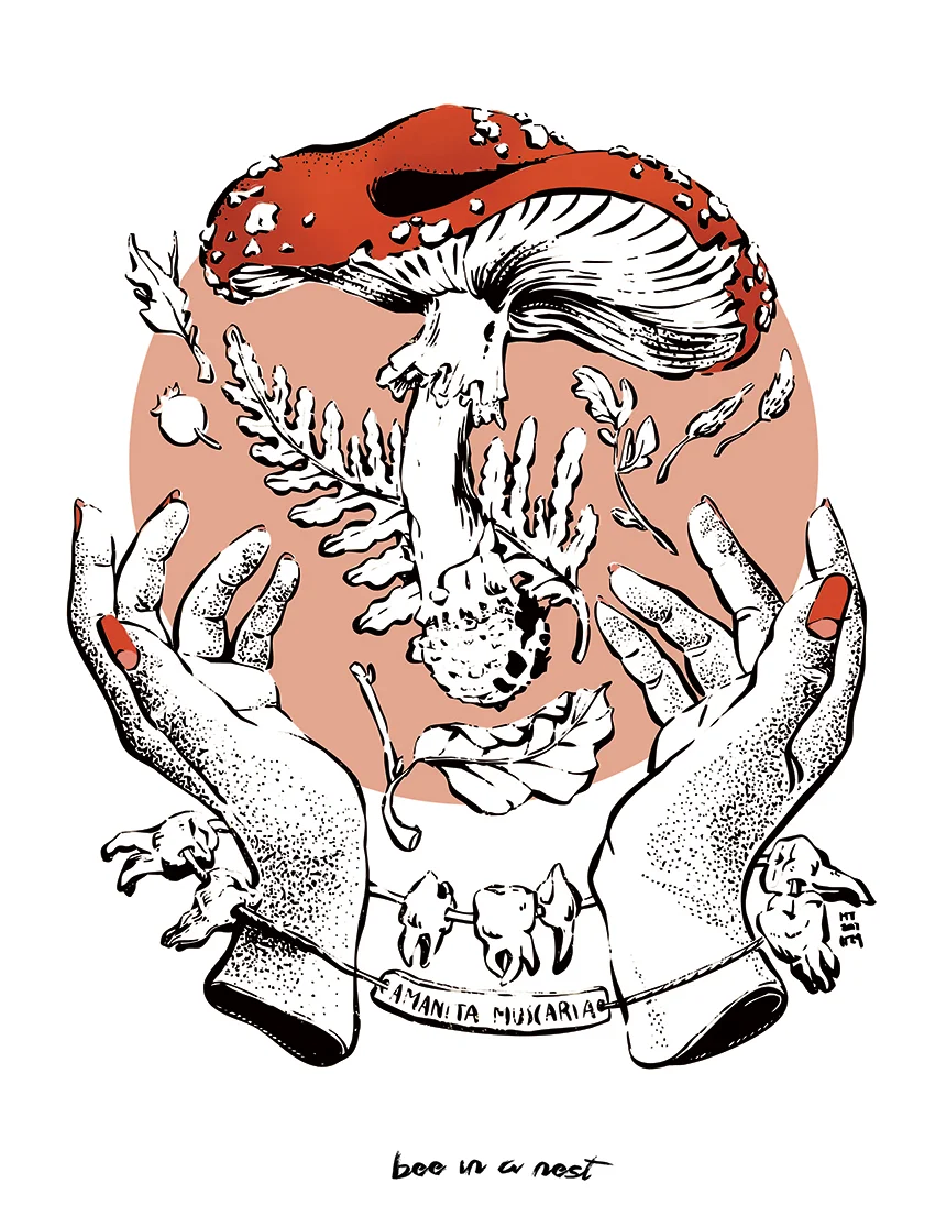 Amanita_michela-tannoia_1.jpg