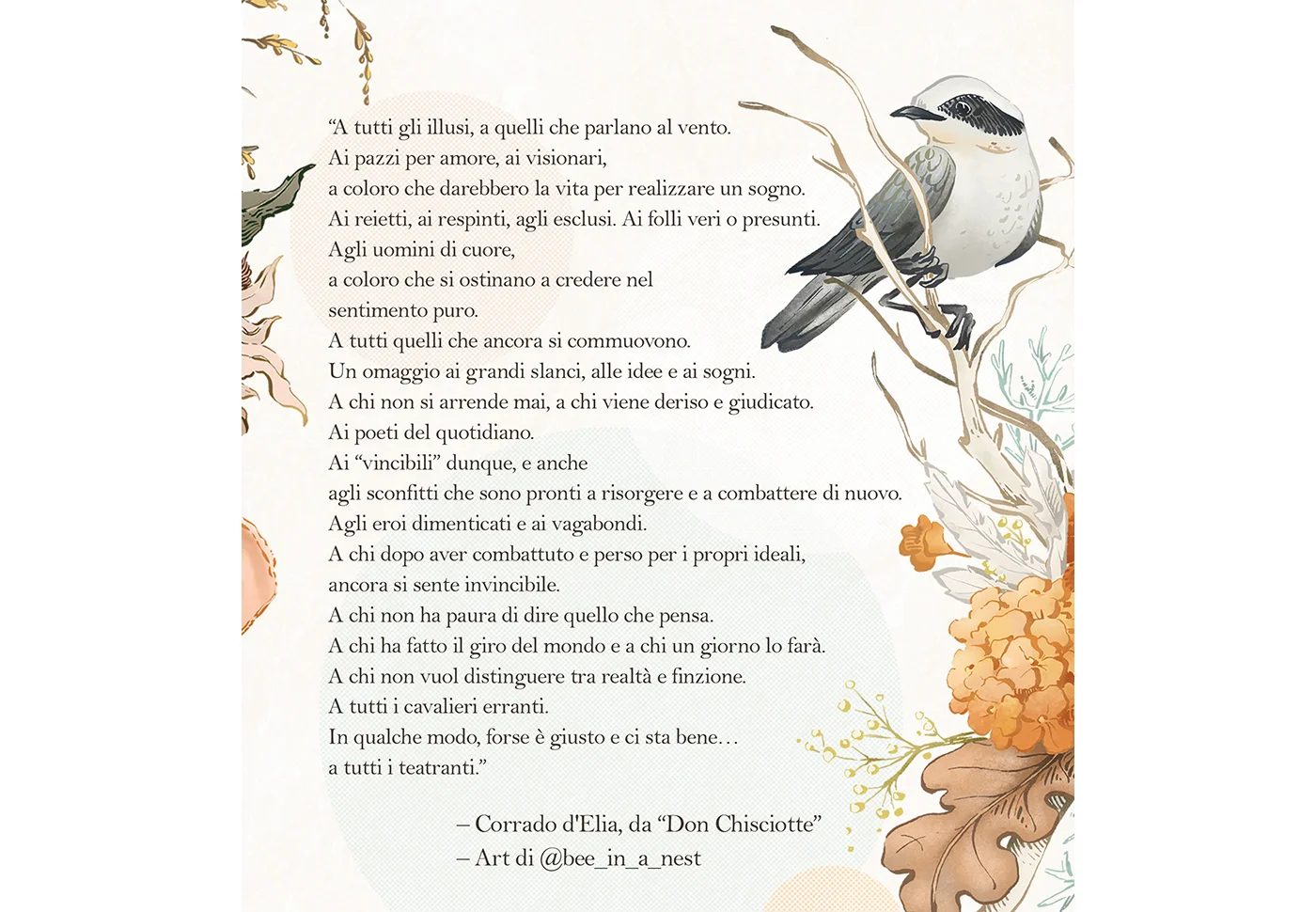 Don-Chisciotte_michela-tannoia_3.jpg