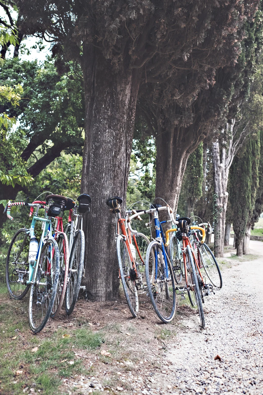 2017_Eroica_60.jpg