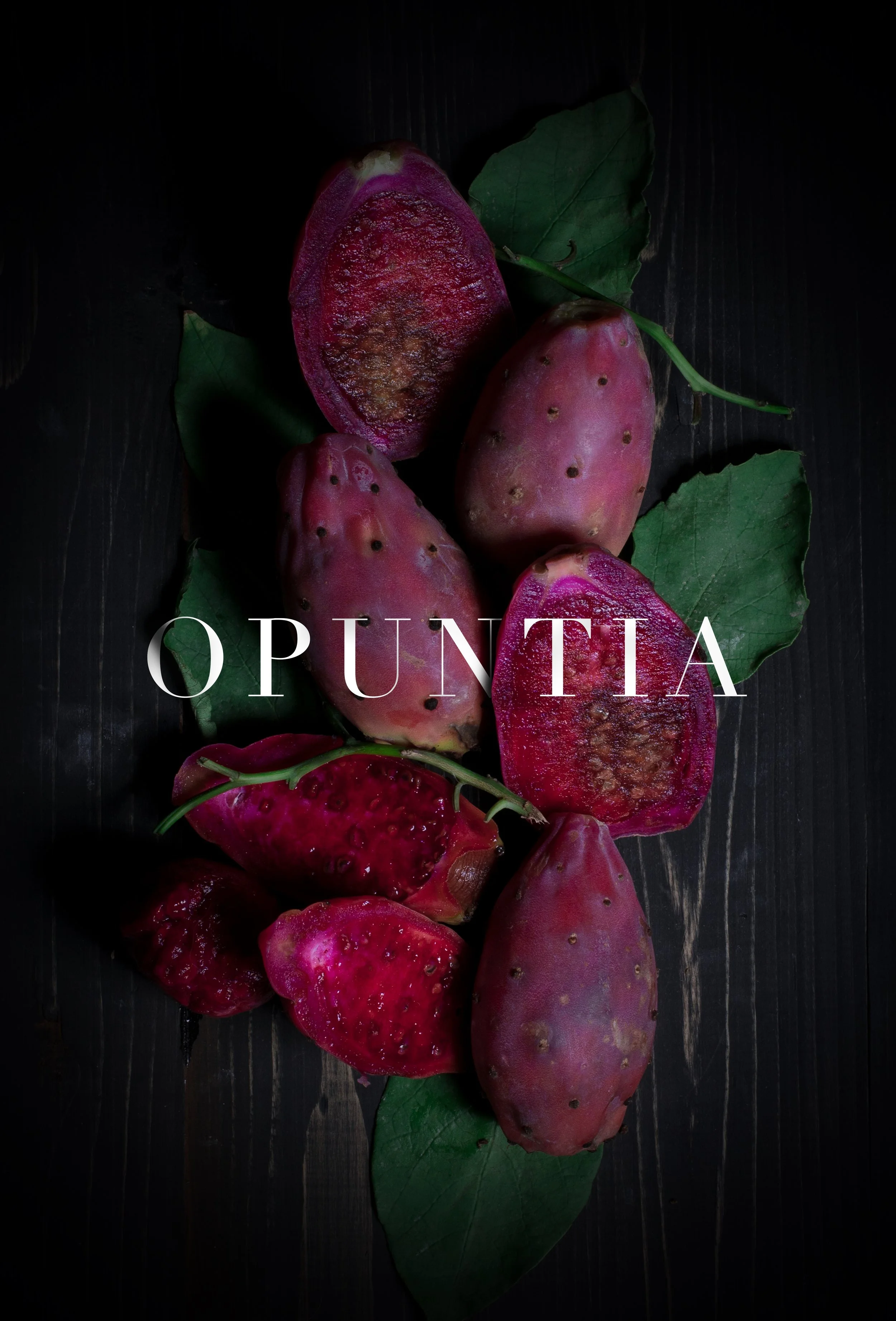 Opuntia.jpg