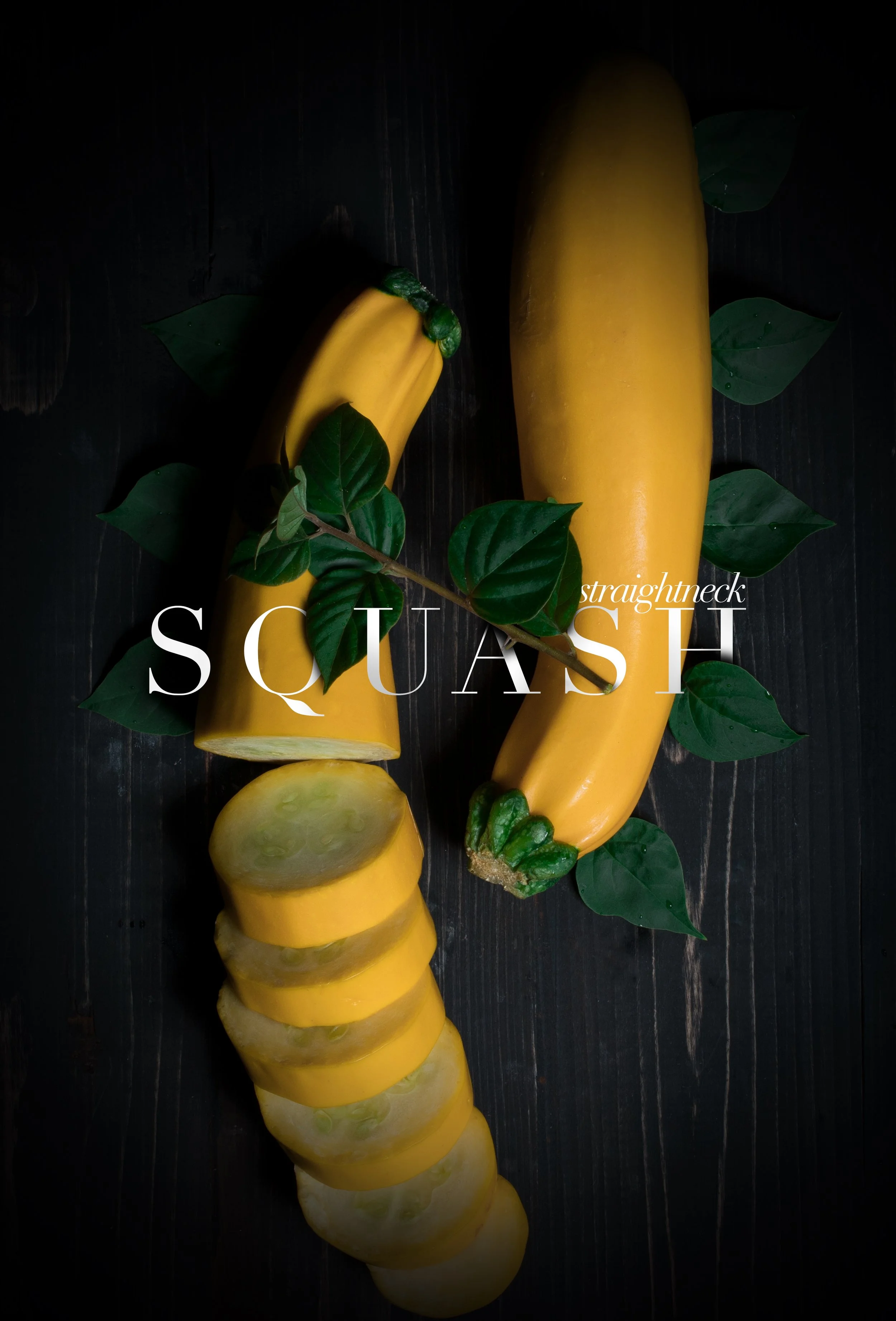 Squash.jpg
