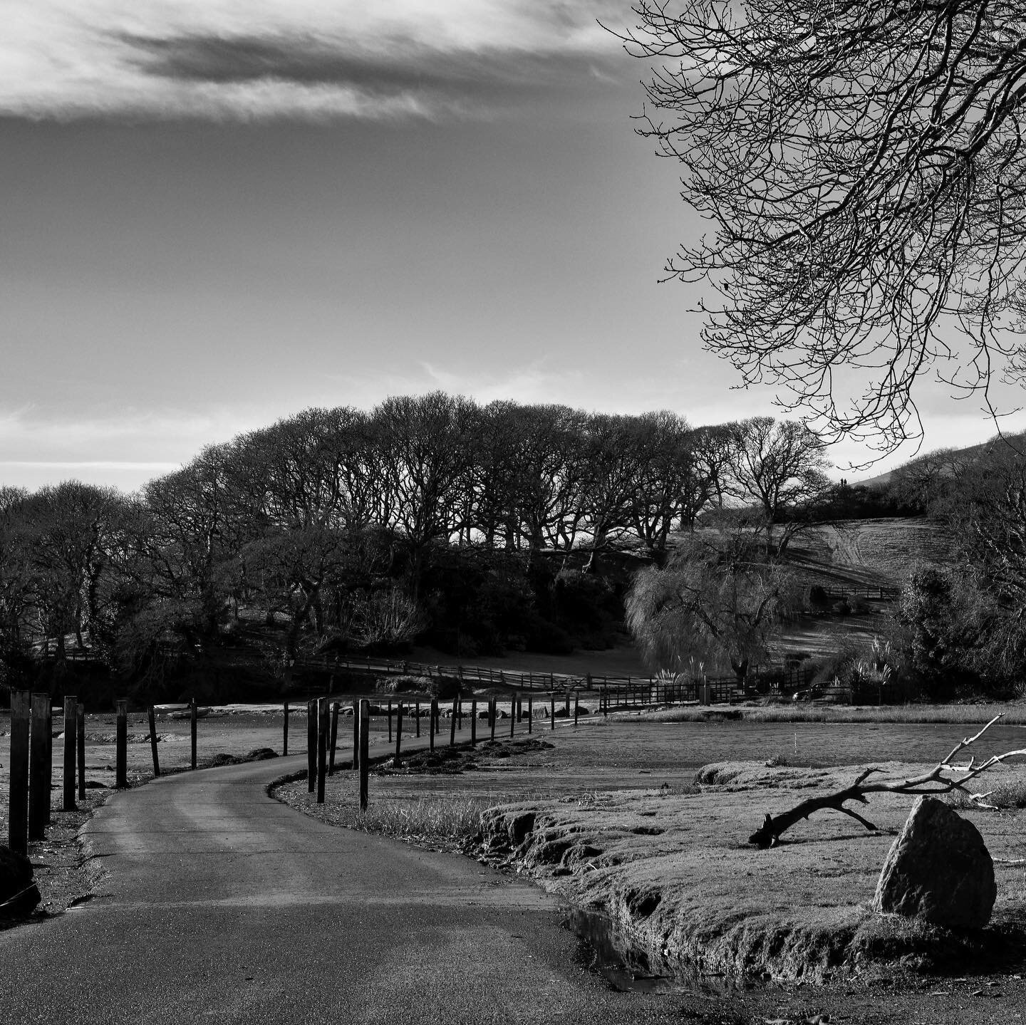 South Devon in Black &amp; White