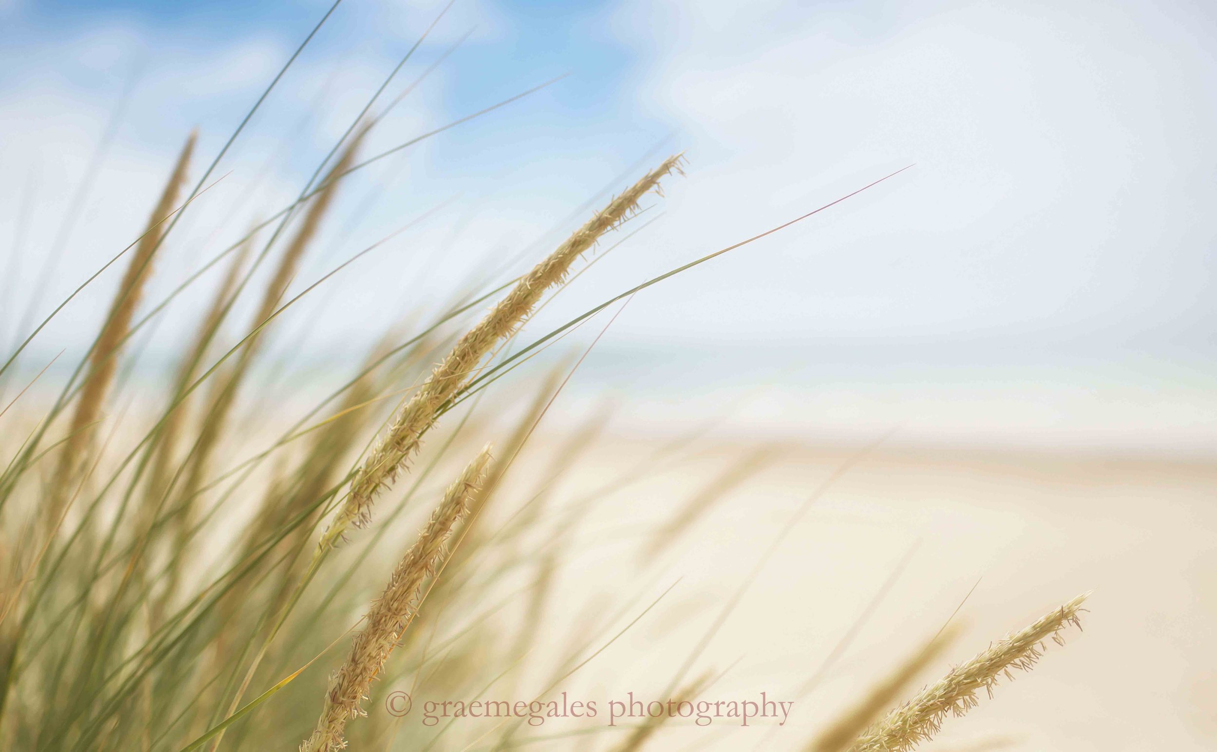 Camber Sands©.jpg