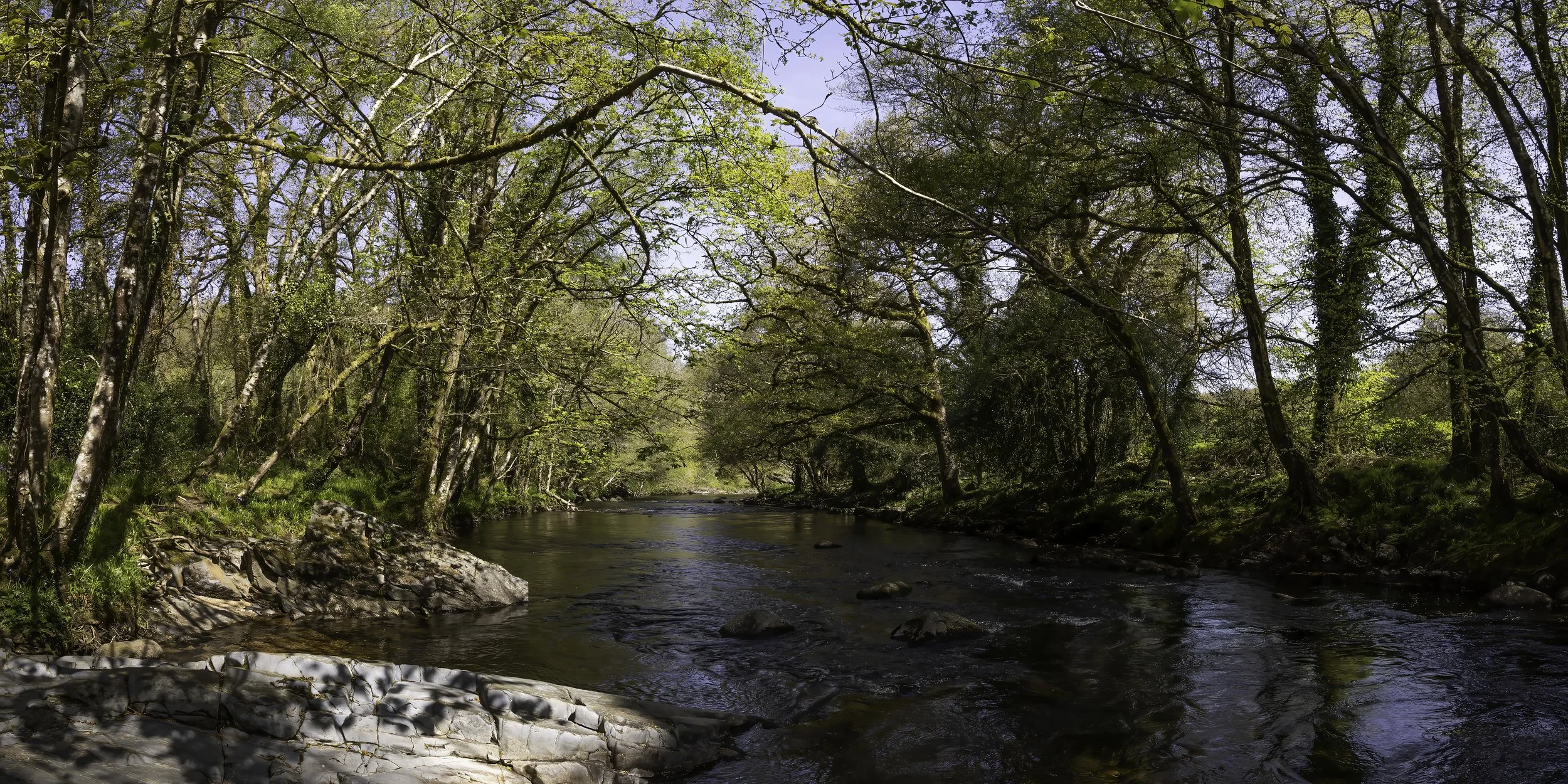 CX6A8259-Pano2.jpg