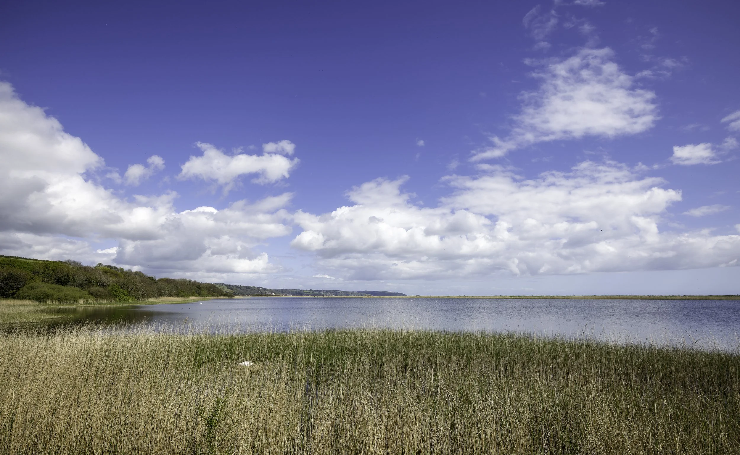 CX6A8246-Edit.jpg