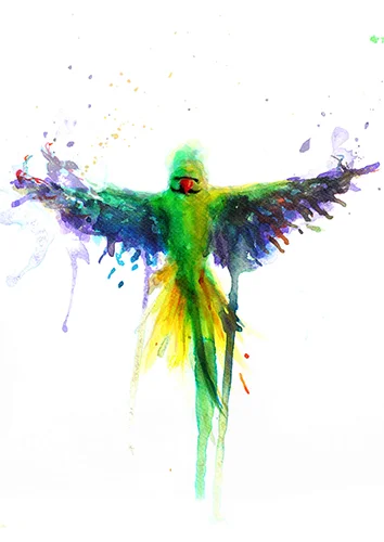 Parakeet 04, by Leo Crane