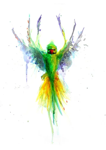 Parakeet 05, by Leo Crane