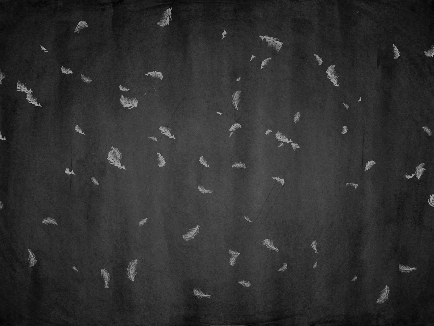 STILL+Feathers+1080.jpg