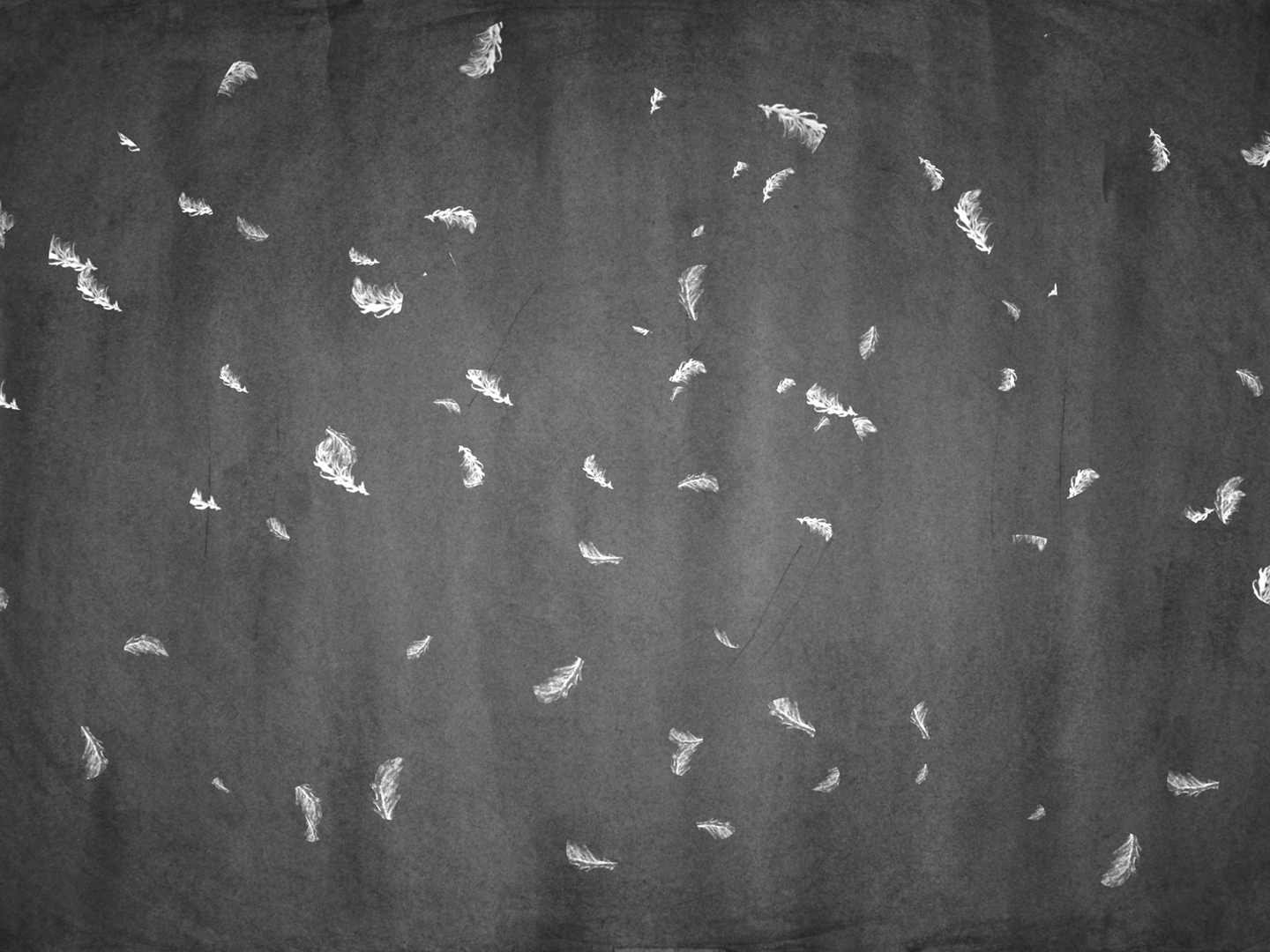 STILL Feathers 1080.png