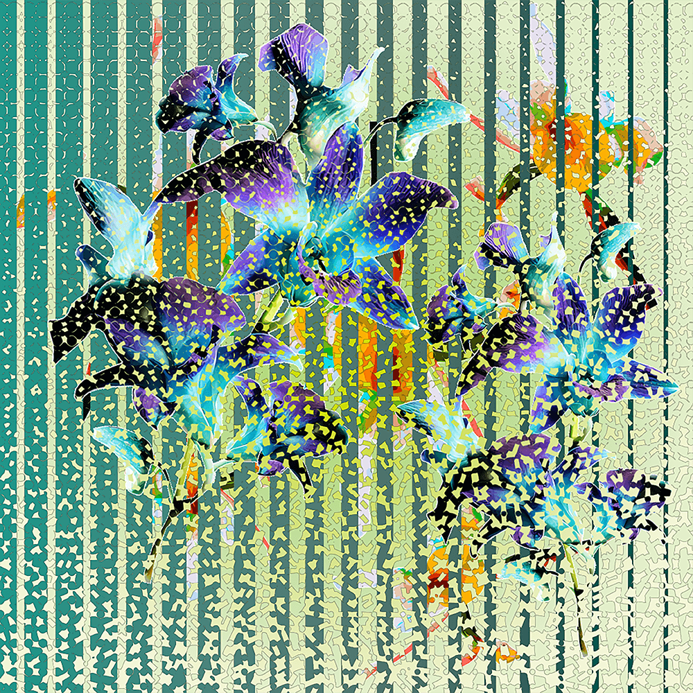 Lucid Algorithms
