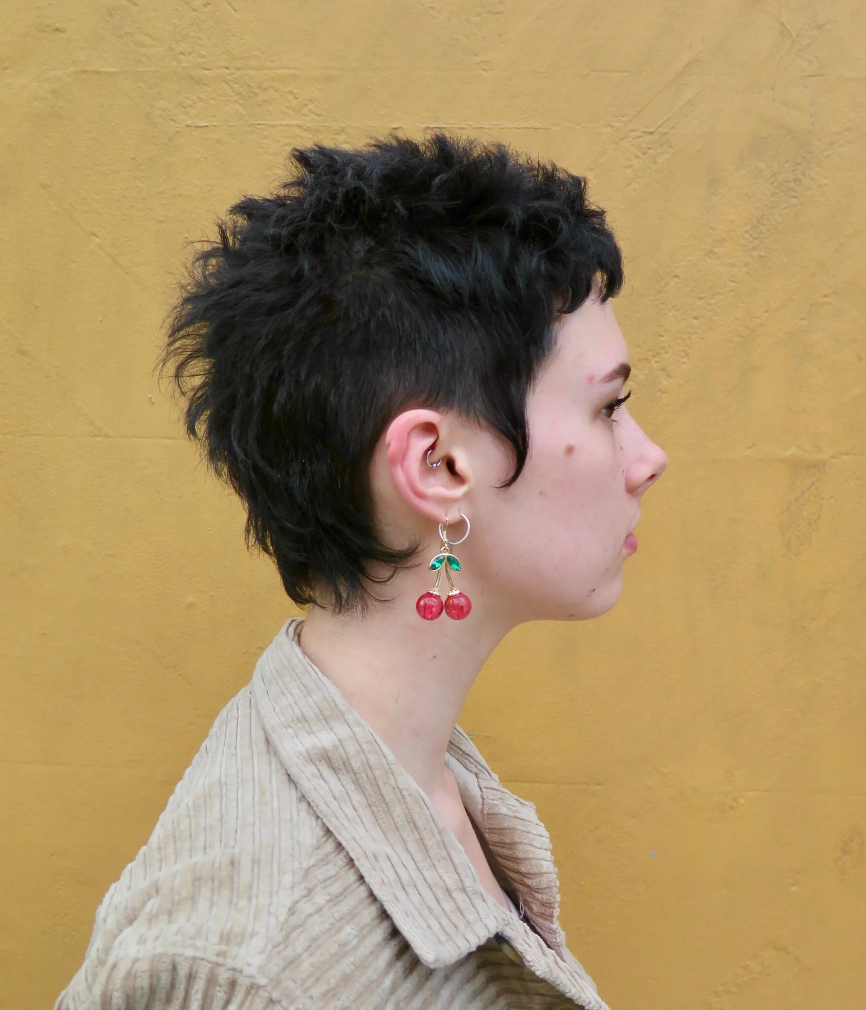 Mousey Browne Dry Haircutter