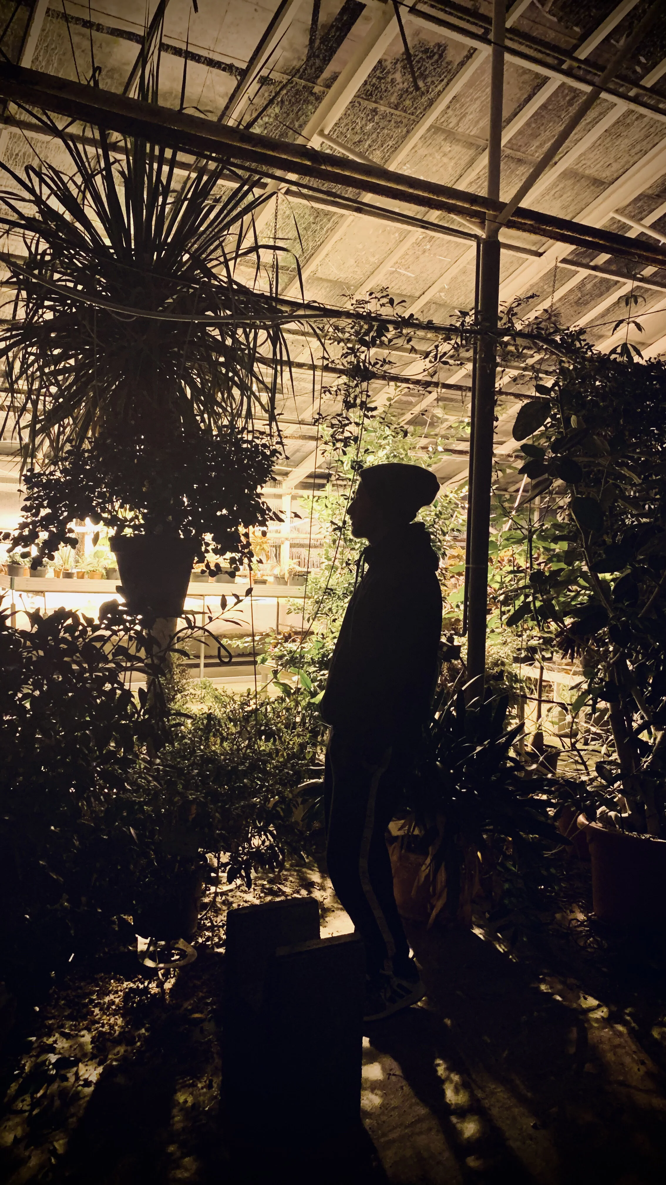 Plöntuhúsið að Reykjum