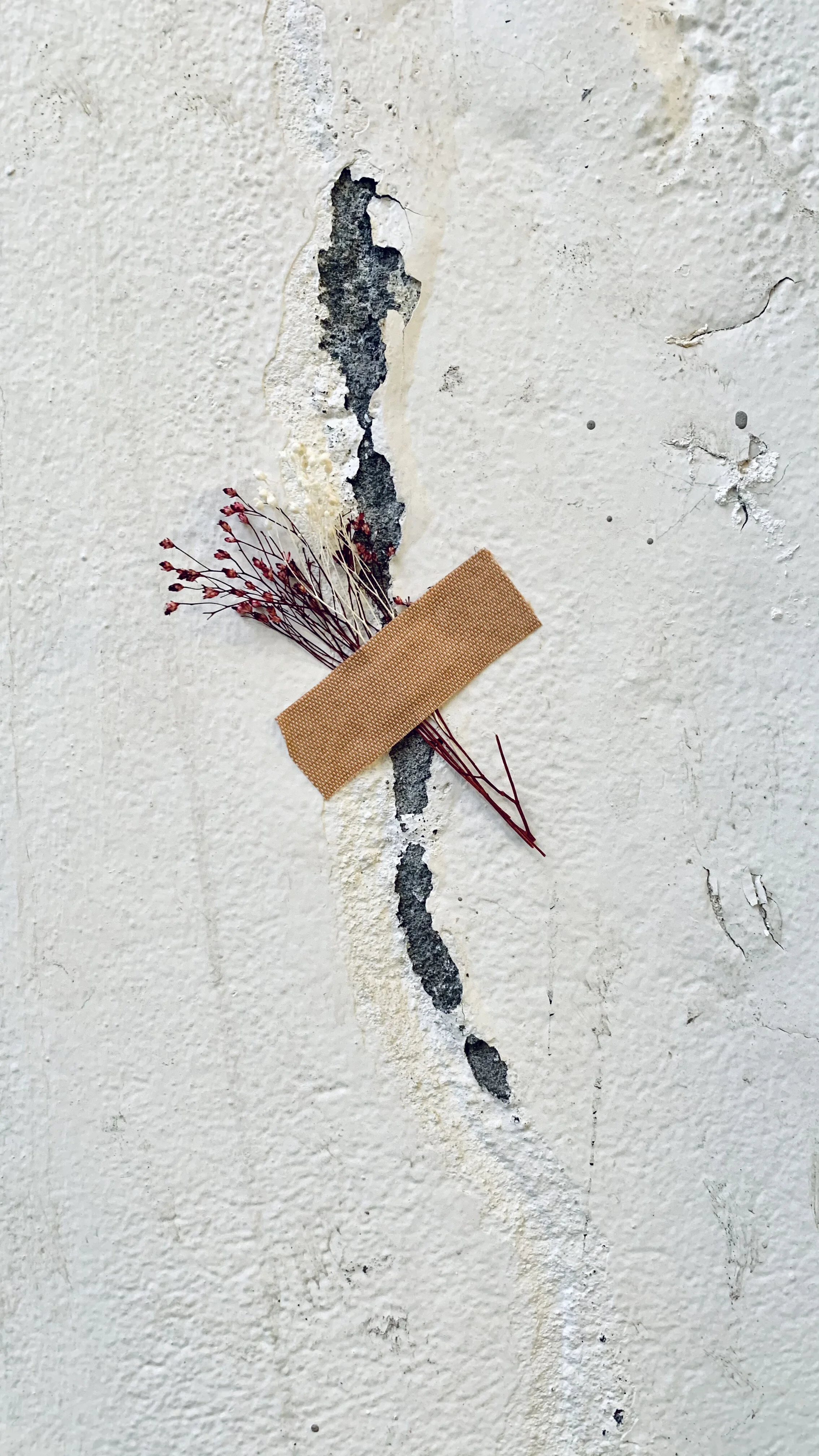 Plástur á skólann