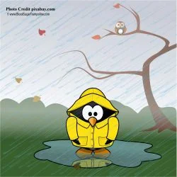 Weather the diabetes havoc-er