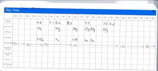 Golden Blood Glucose Day.