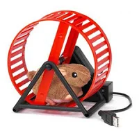 Exercise or Torture??