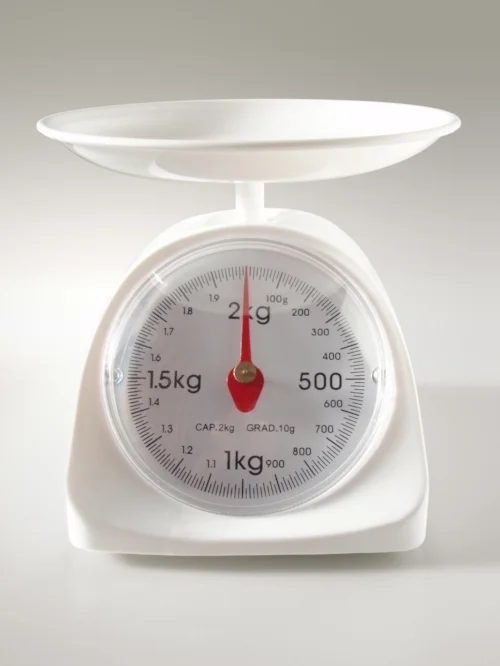 Kitchen_scale_20101110.jpg