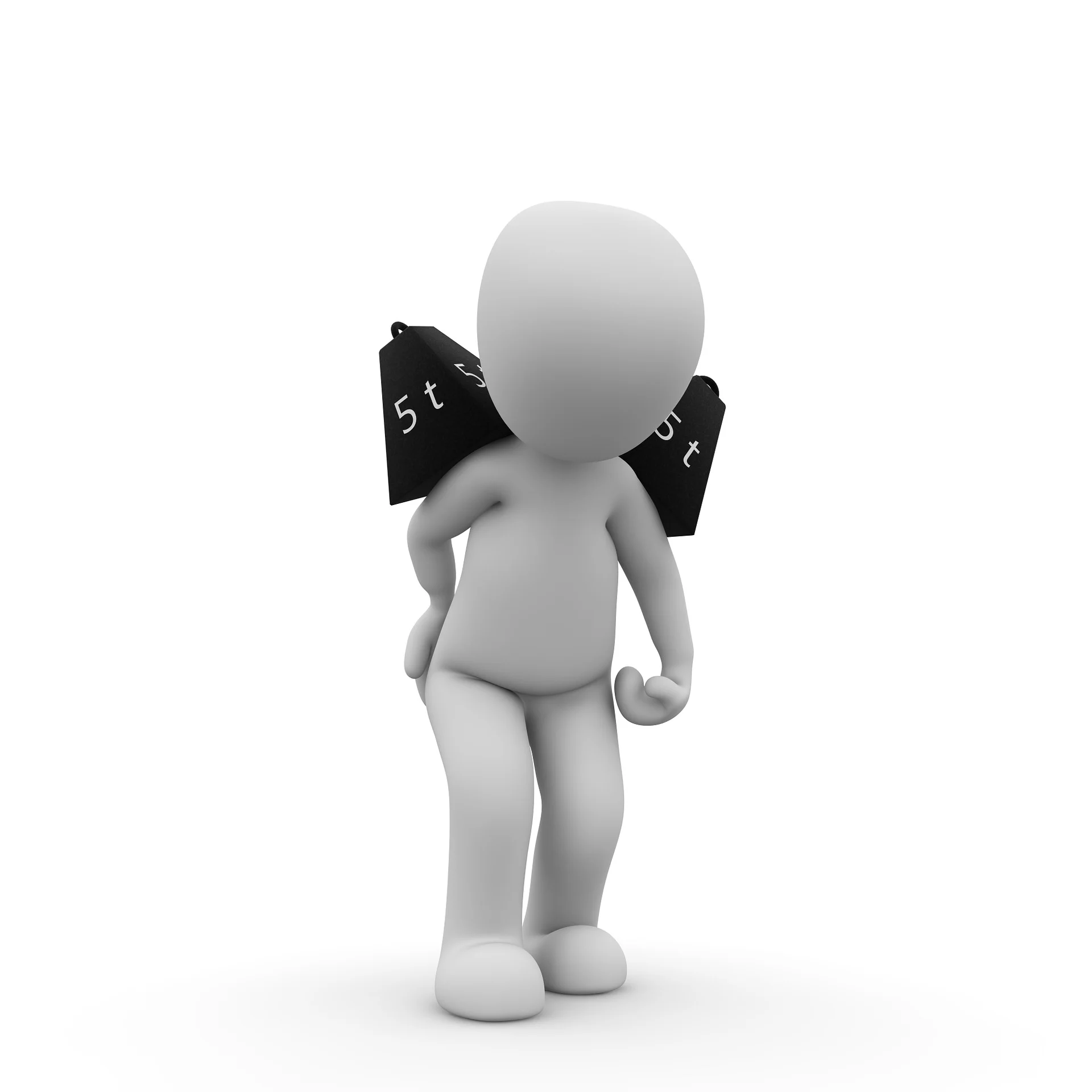 Image by Peggy und Marco Lachmann-Anke from Pixabay