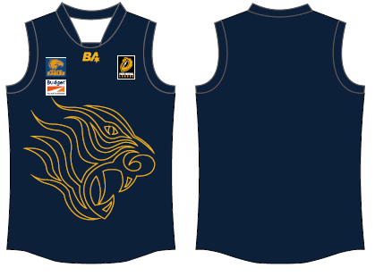 training jersey 26.png