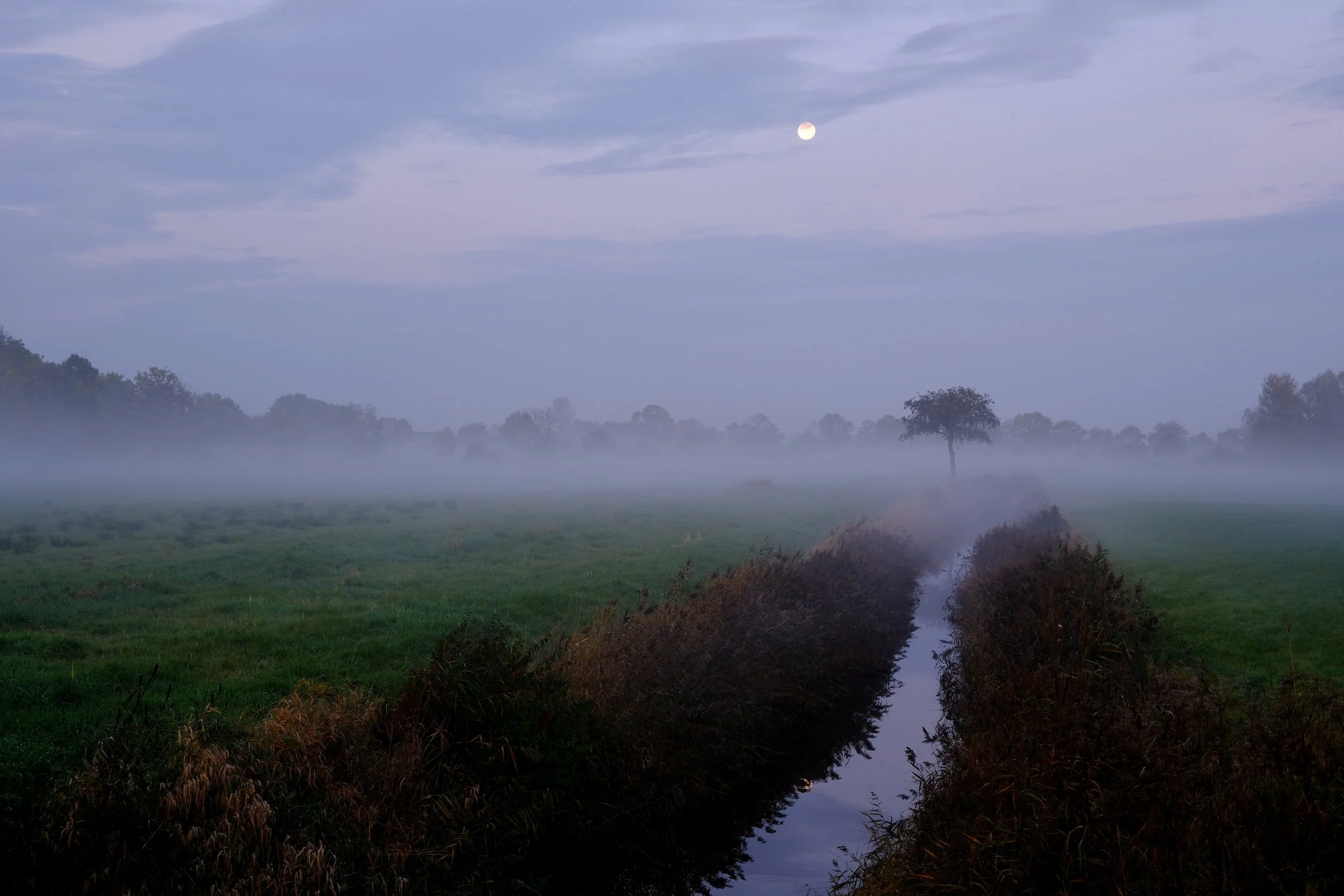 Ostfriesland am Morgen bei Nebel - 2024