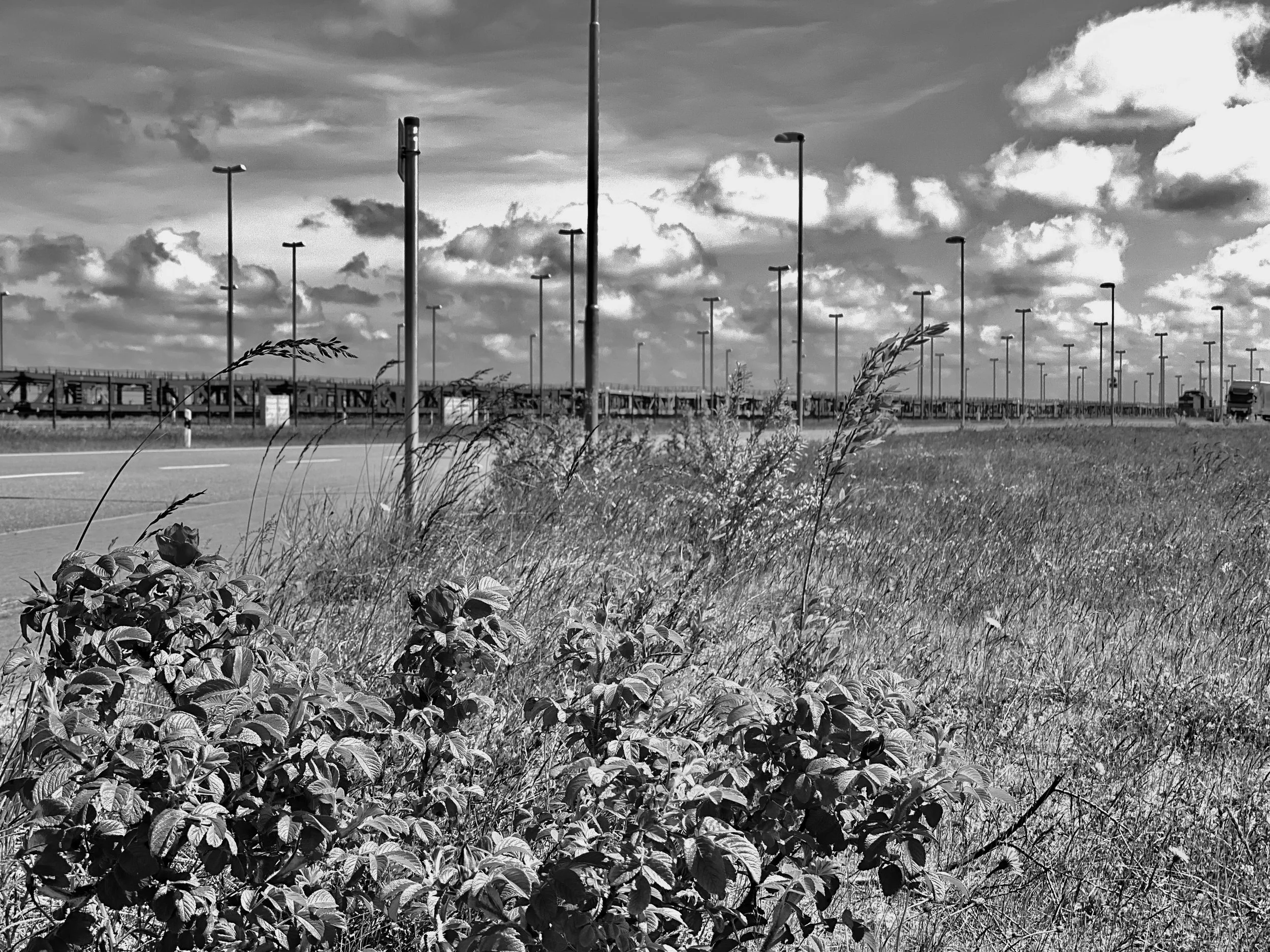 Bahnstrecke zum Hafen - 2019