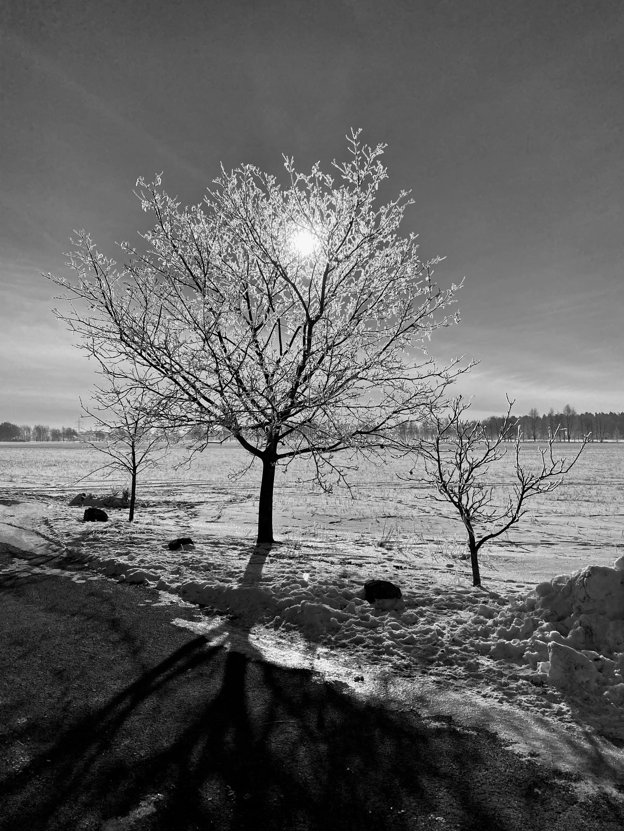 Winterlandschaft in Brandenburg - 2018