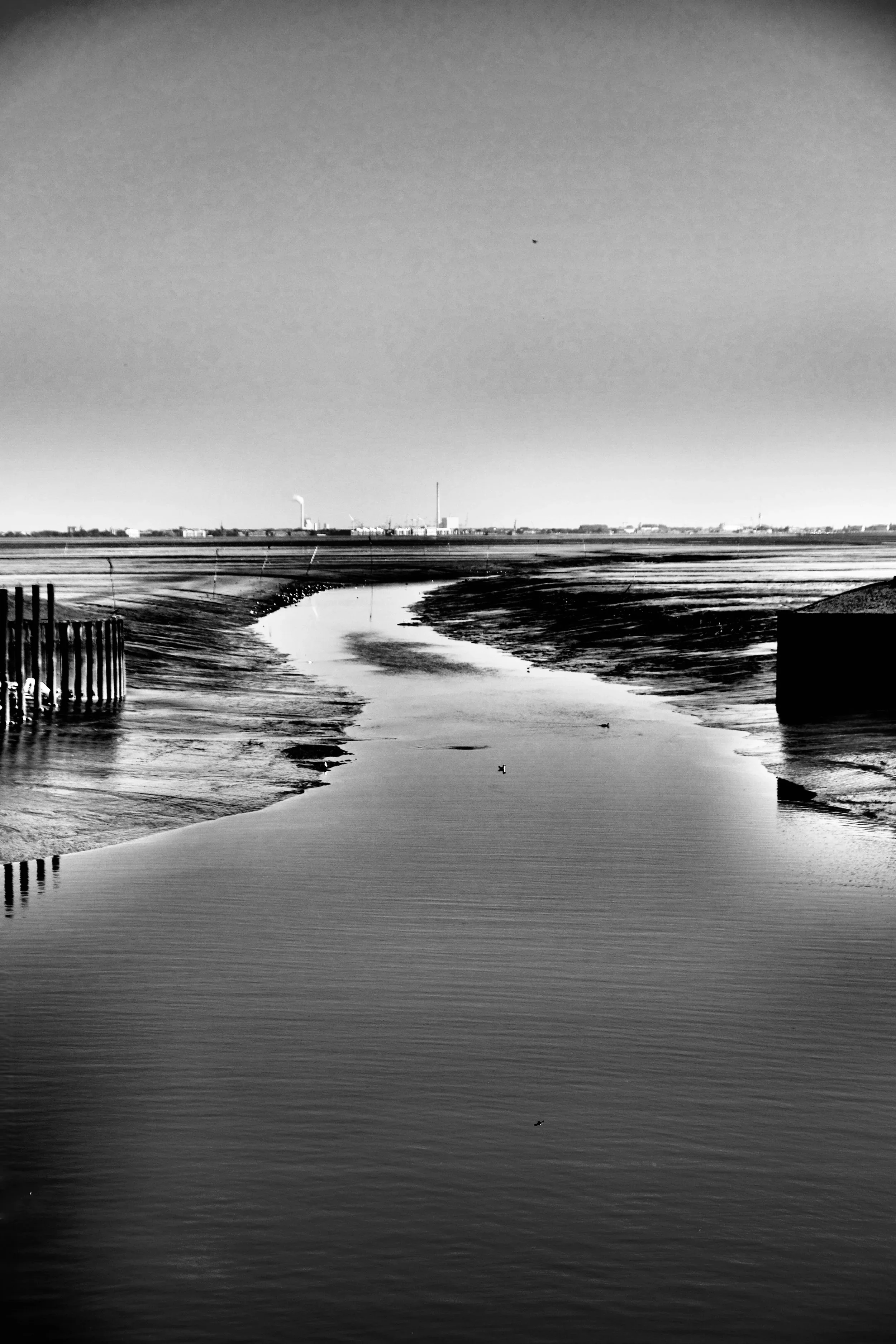  Dangast, 2024 