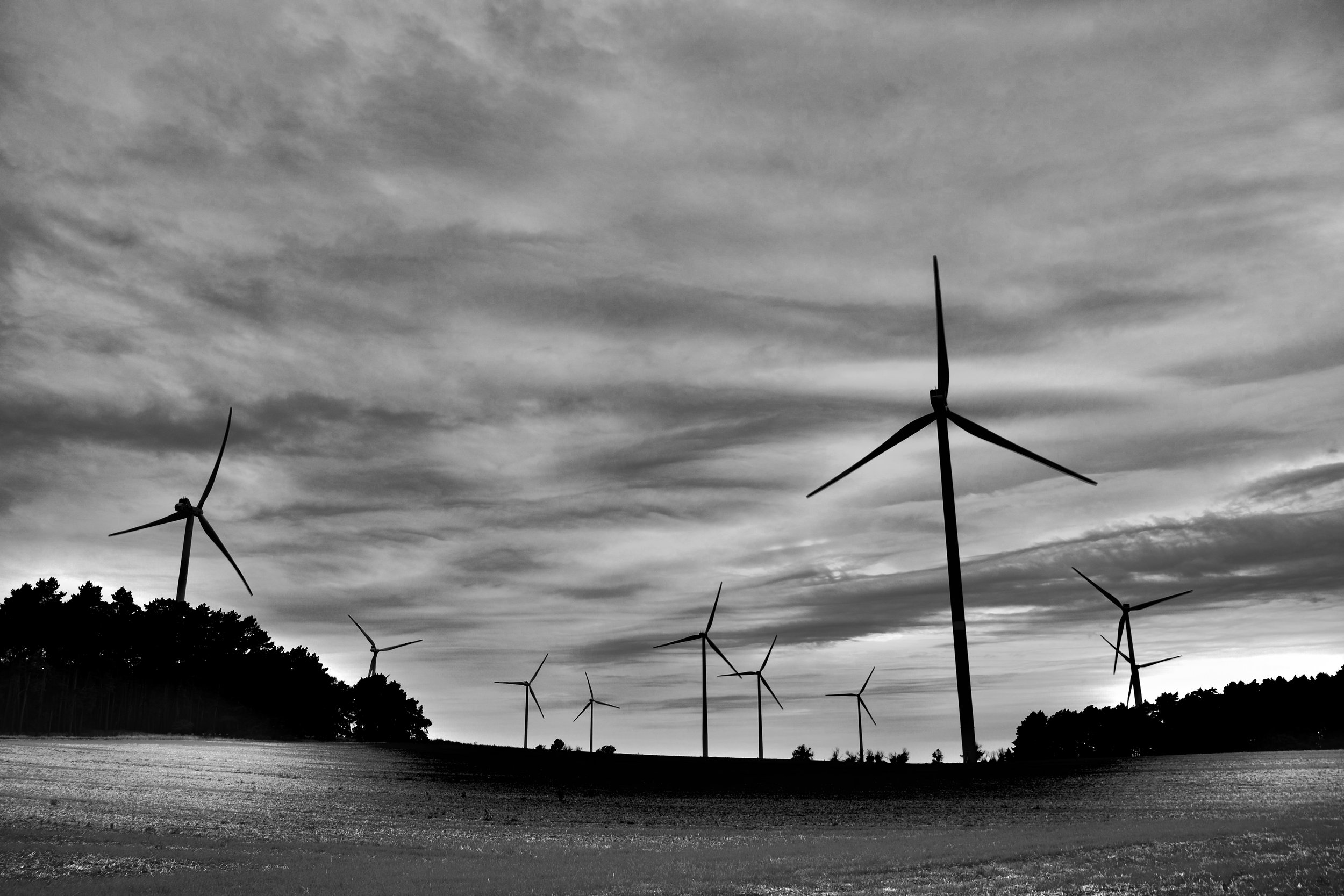  Windpark in Brandenburg, 2021 