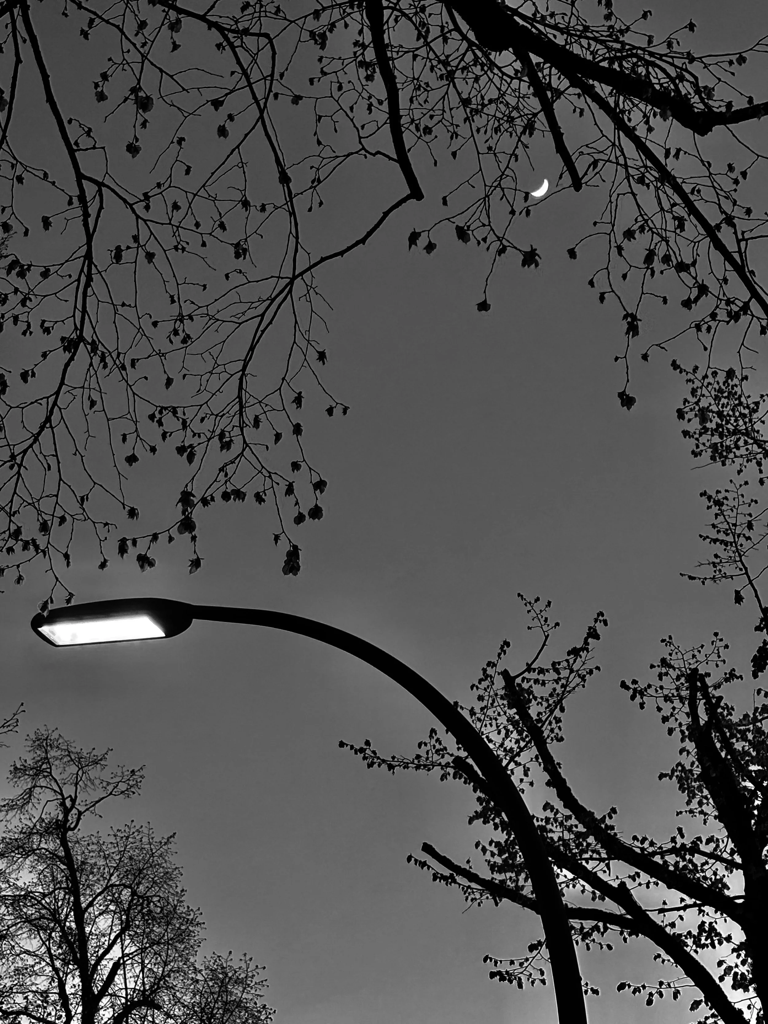  The light and the moon. Berlin 2026 
