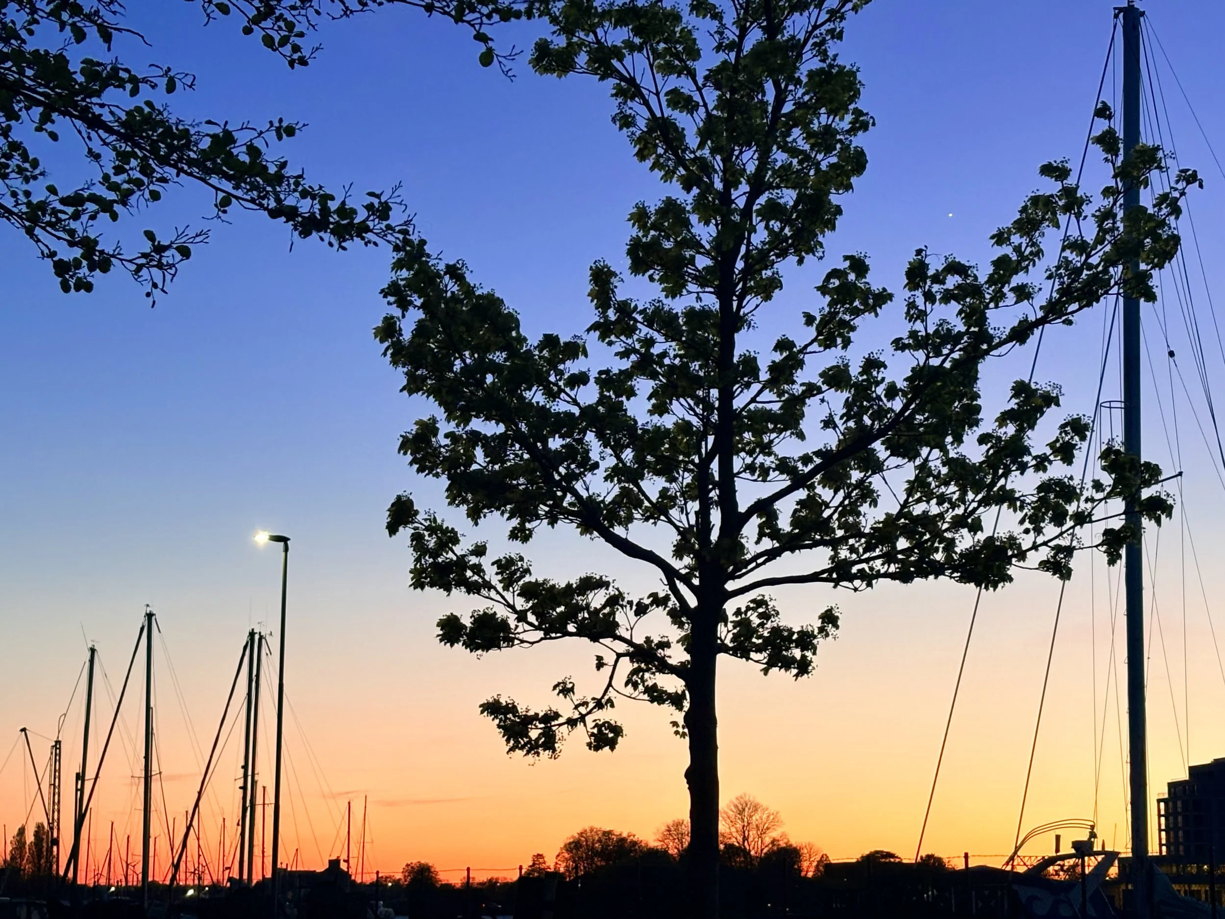  Abendatmosphäre am Hafen. Wilhelmshaven 2026 