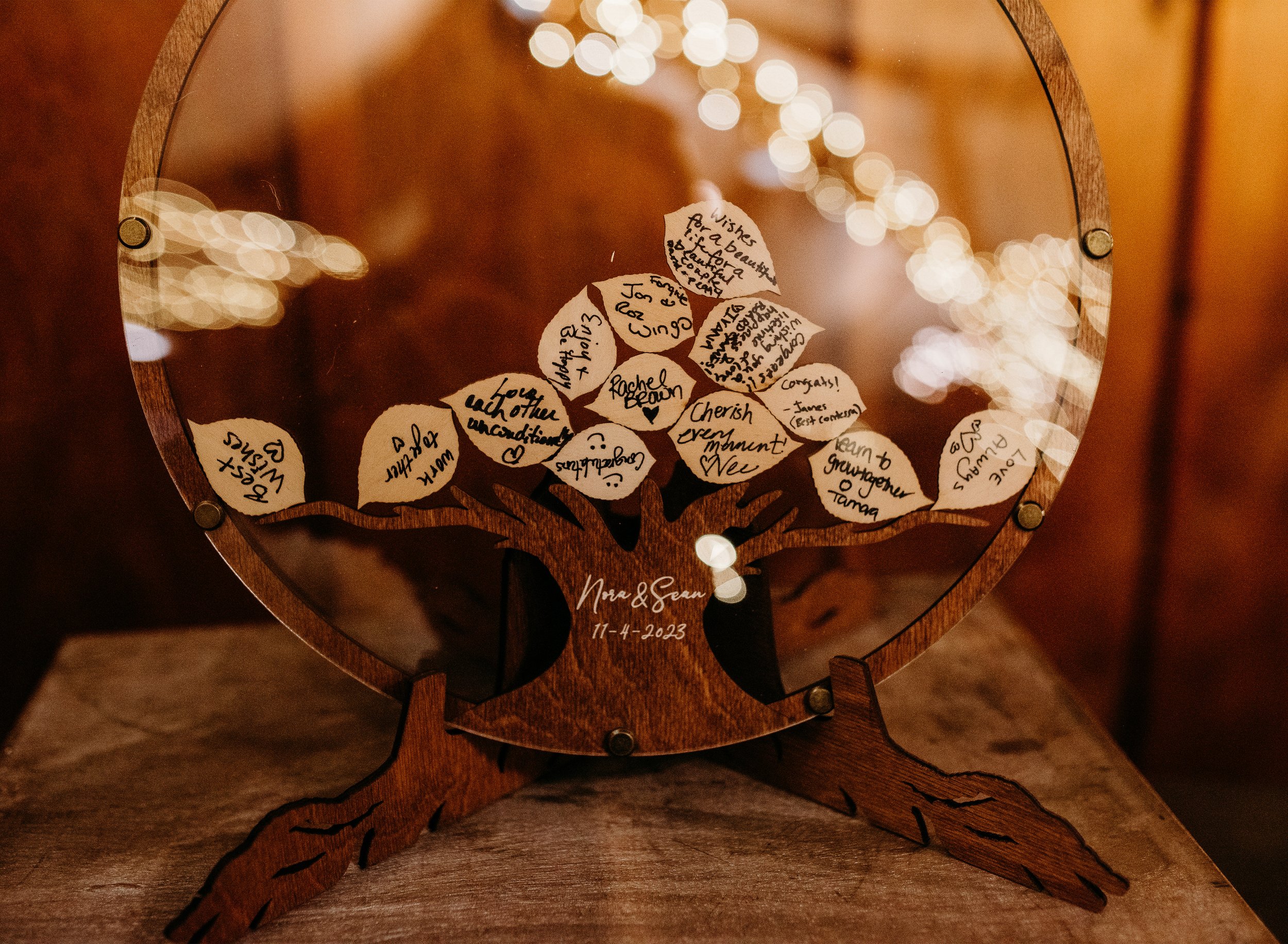 Nora + Sean 11.4.23-135.jpg
