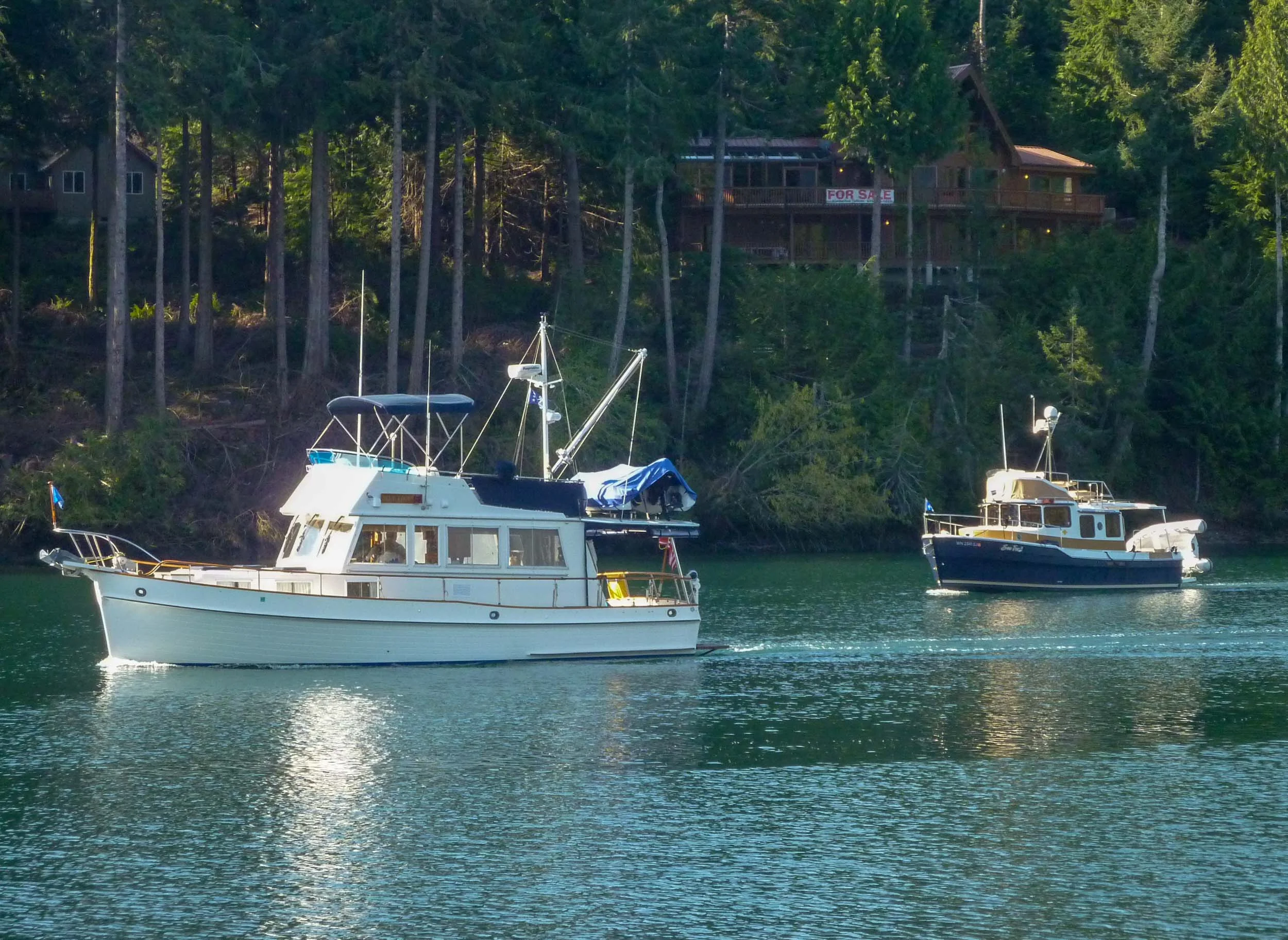 20180423-P1040671.jpg