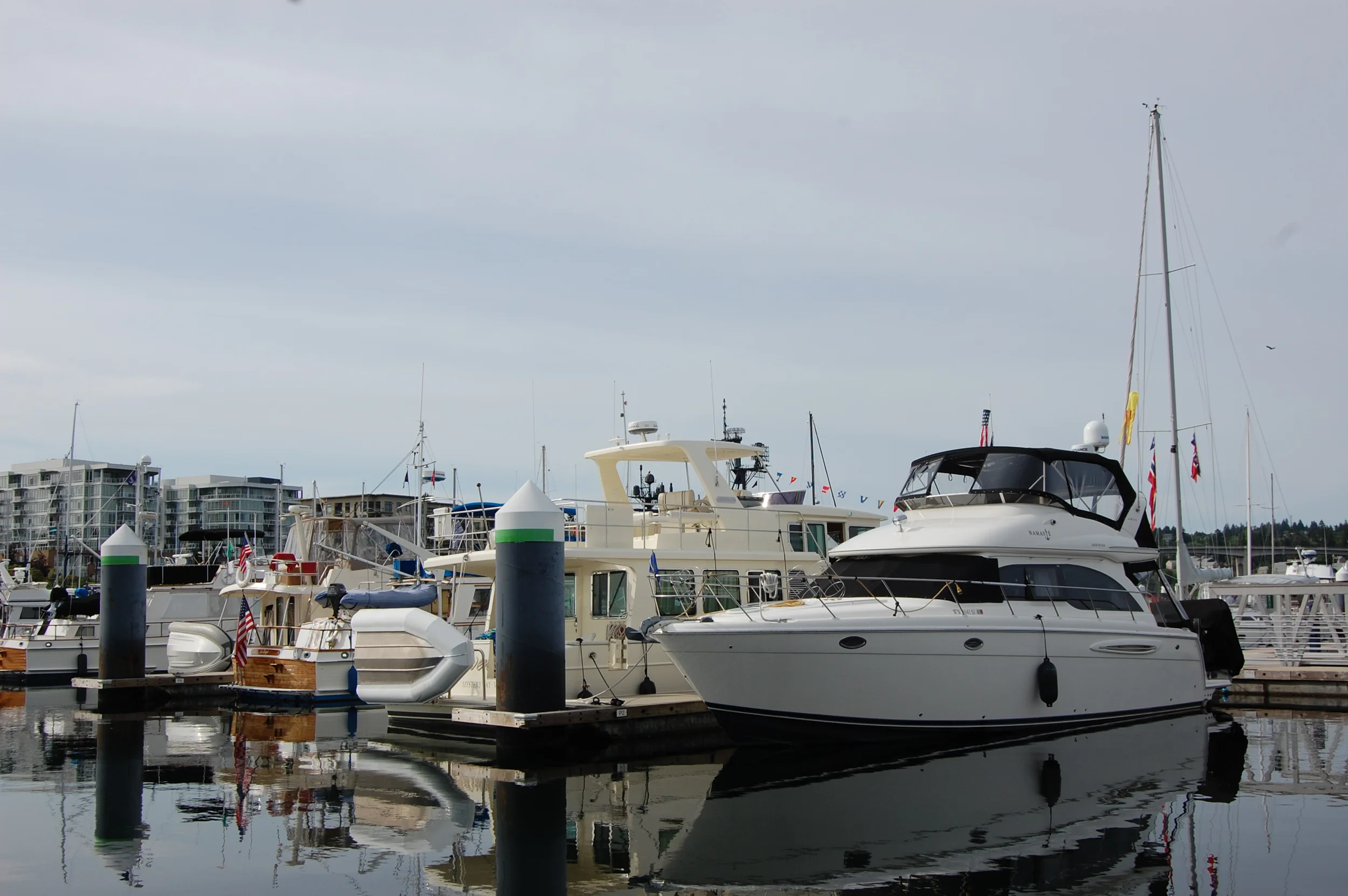 DSC_0011.jpg
