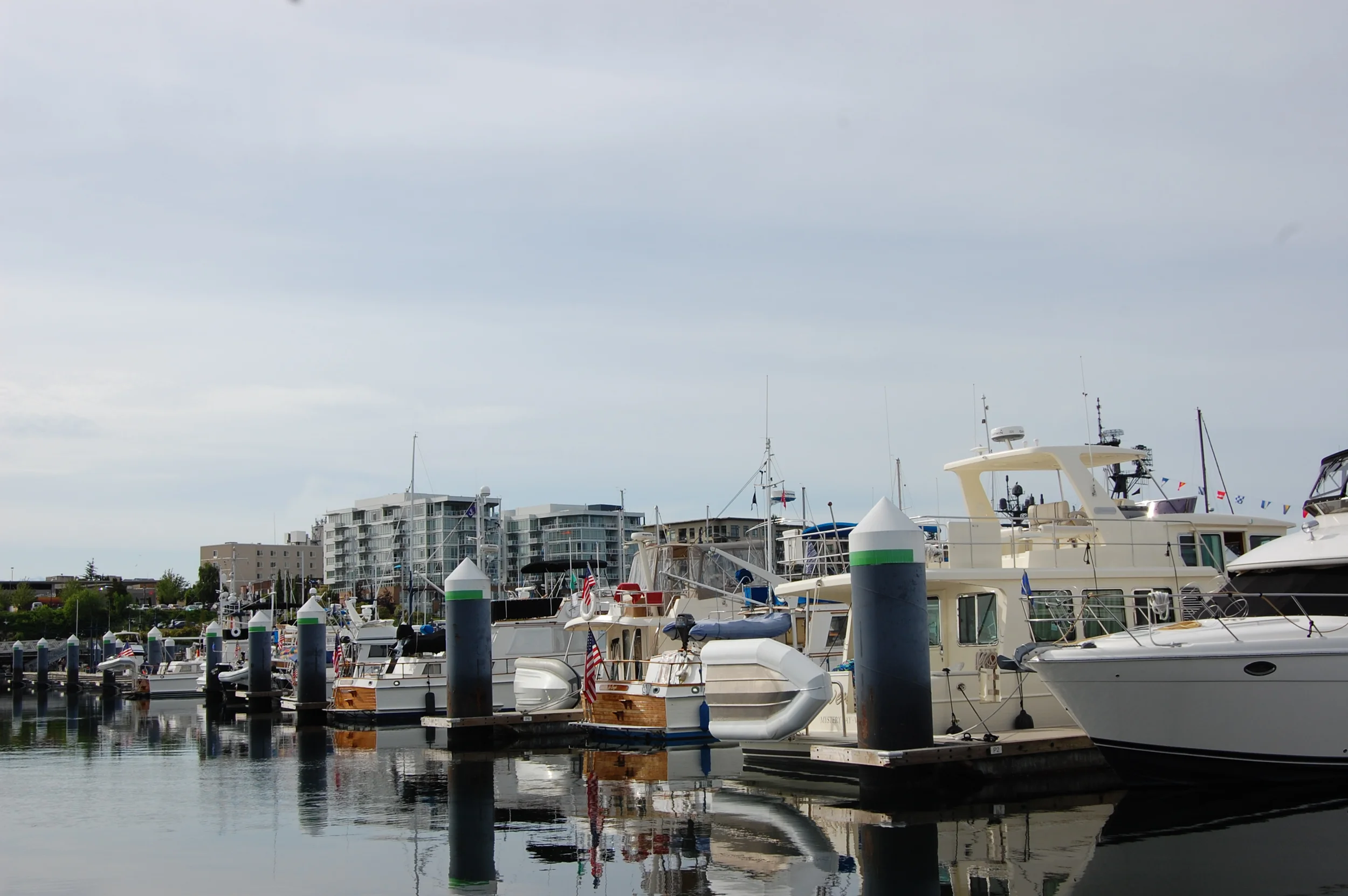 DSC_0012.jpg